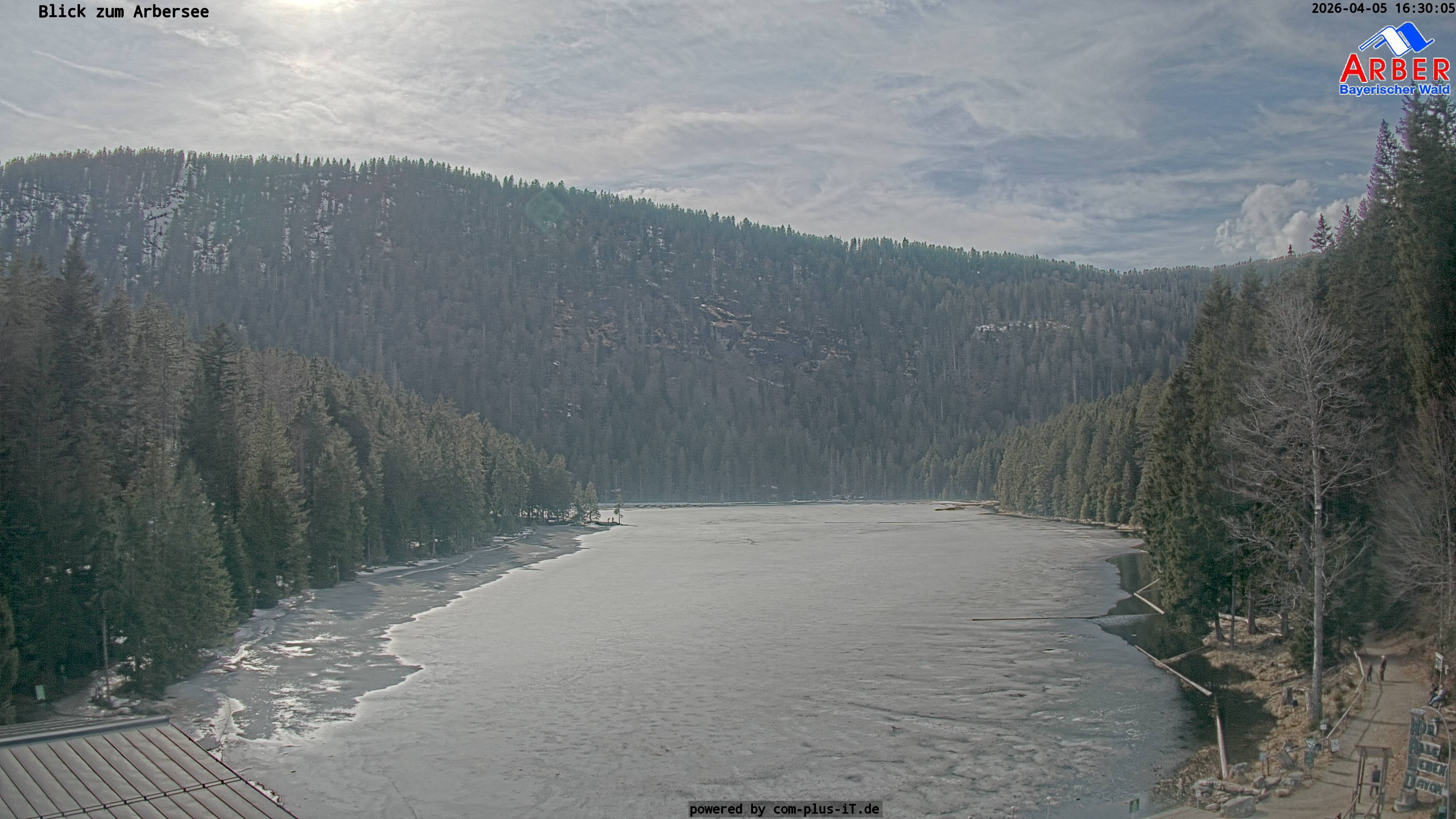 Archiv Foto Webcam Großer Arbersee - Bayerischer Wald