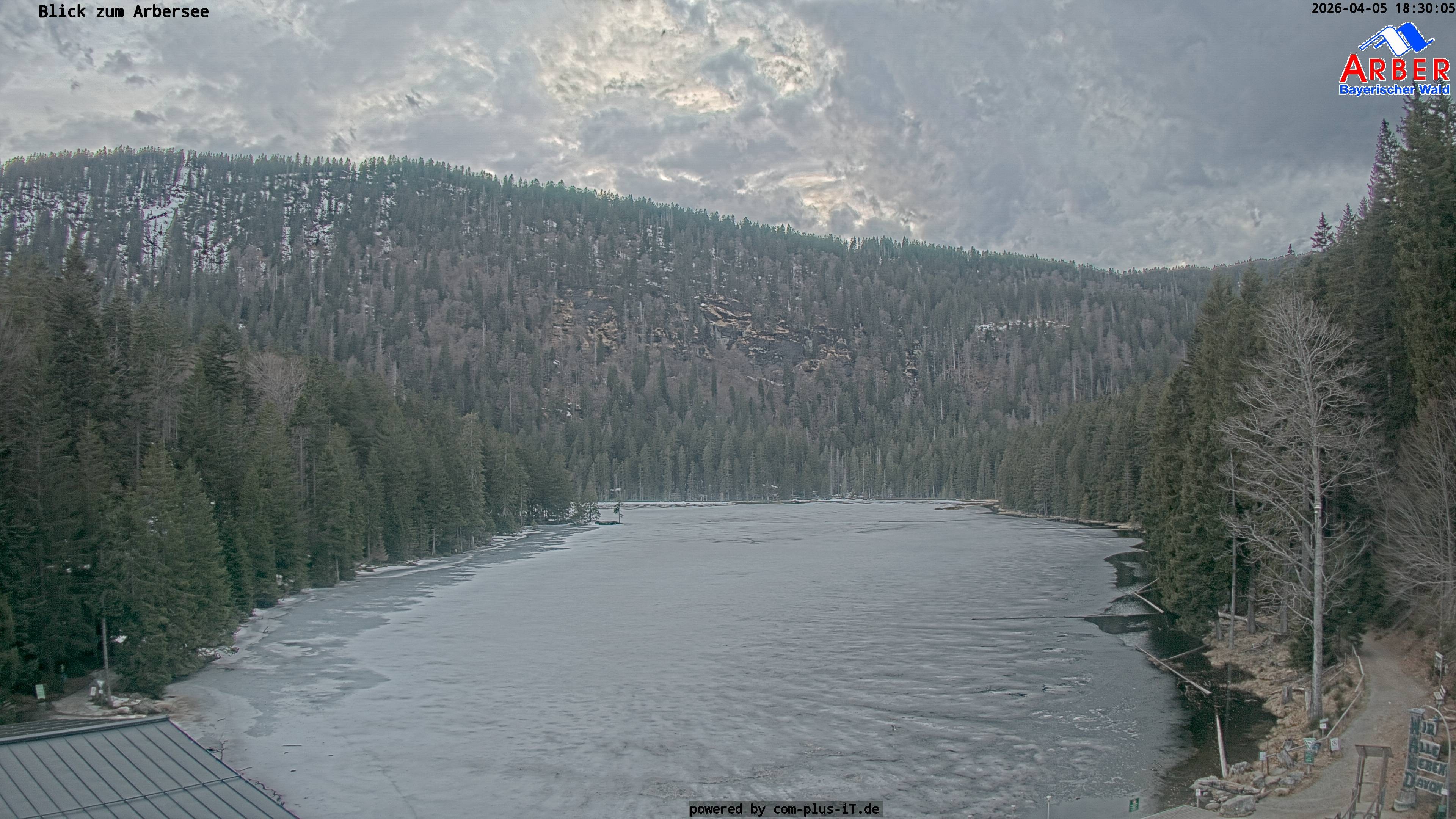 Archiv Foto Webcam Großer Arbersee - Bayerischer Wald