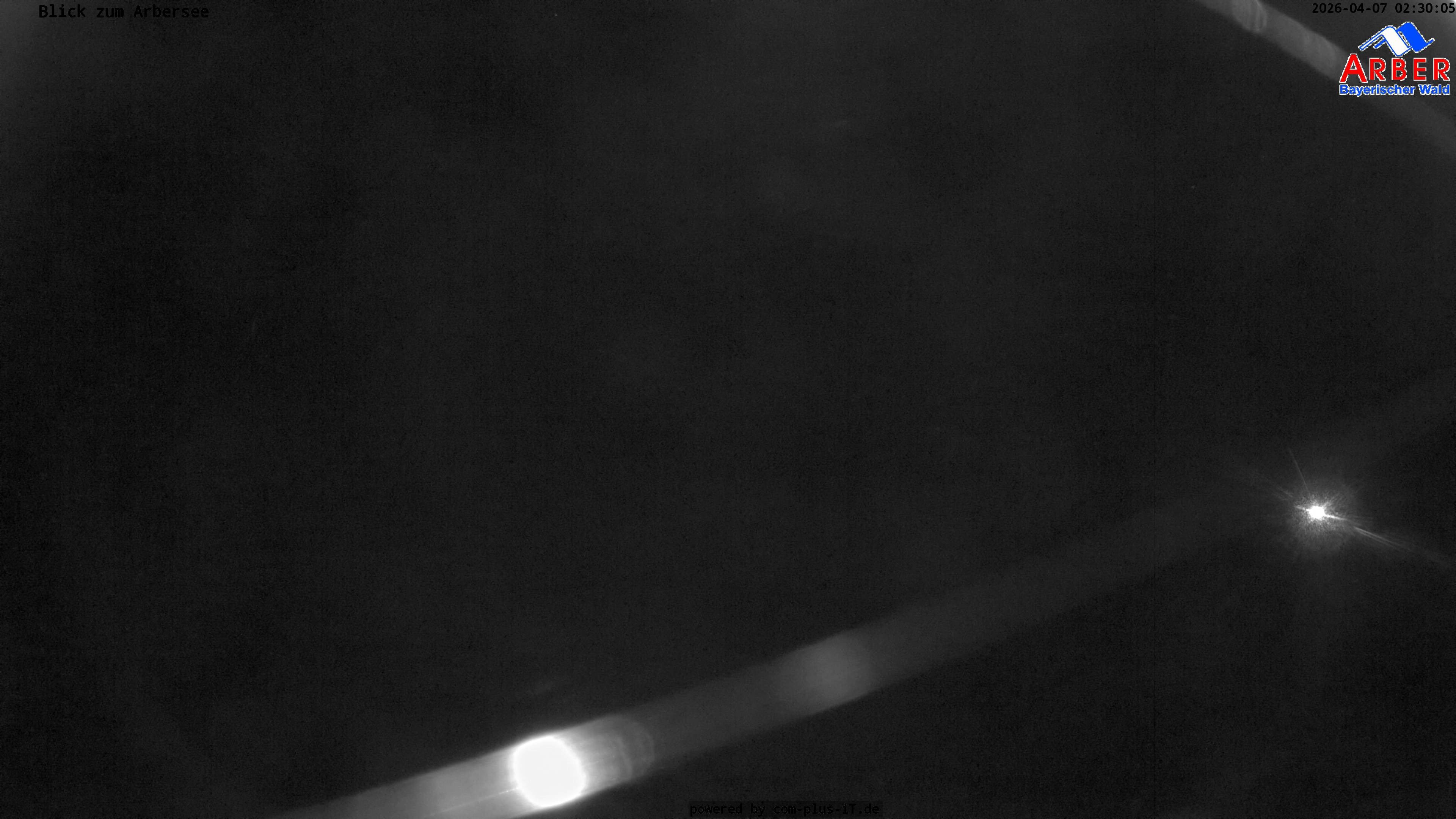 Archived image Webcam Lake "Großer Arbersee" (Bavarian Forest)