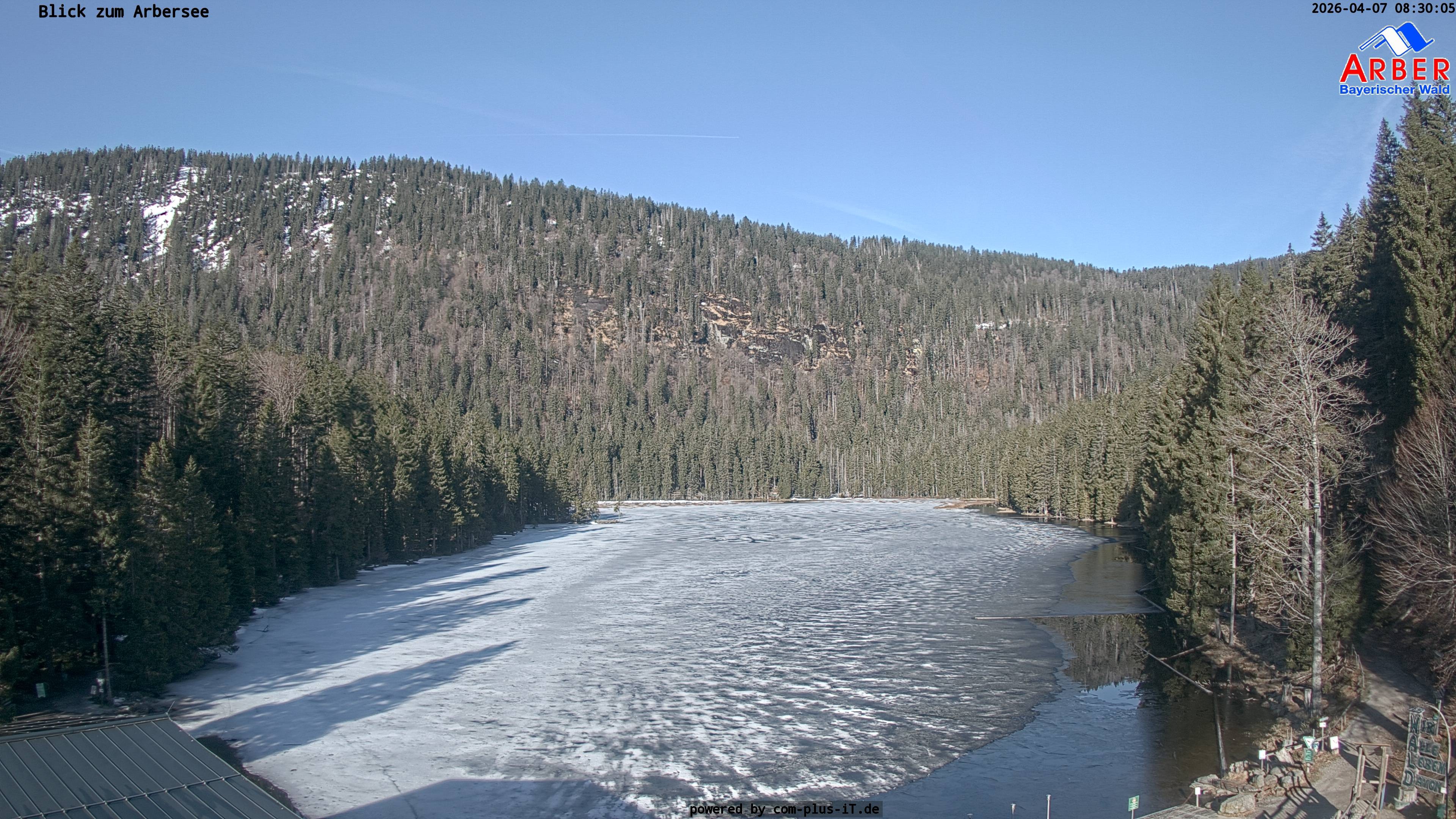 Archived image Webcam Lake "Großer Arbersee" (Bavarian Forest)