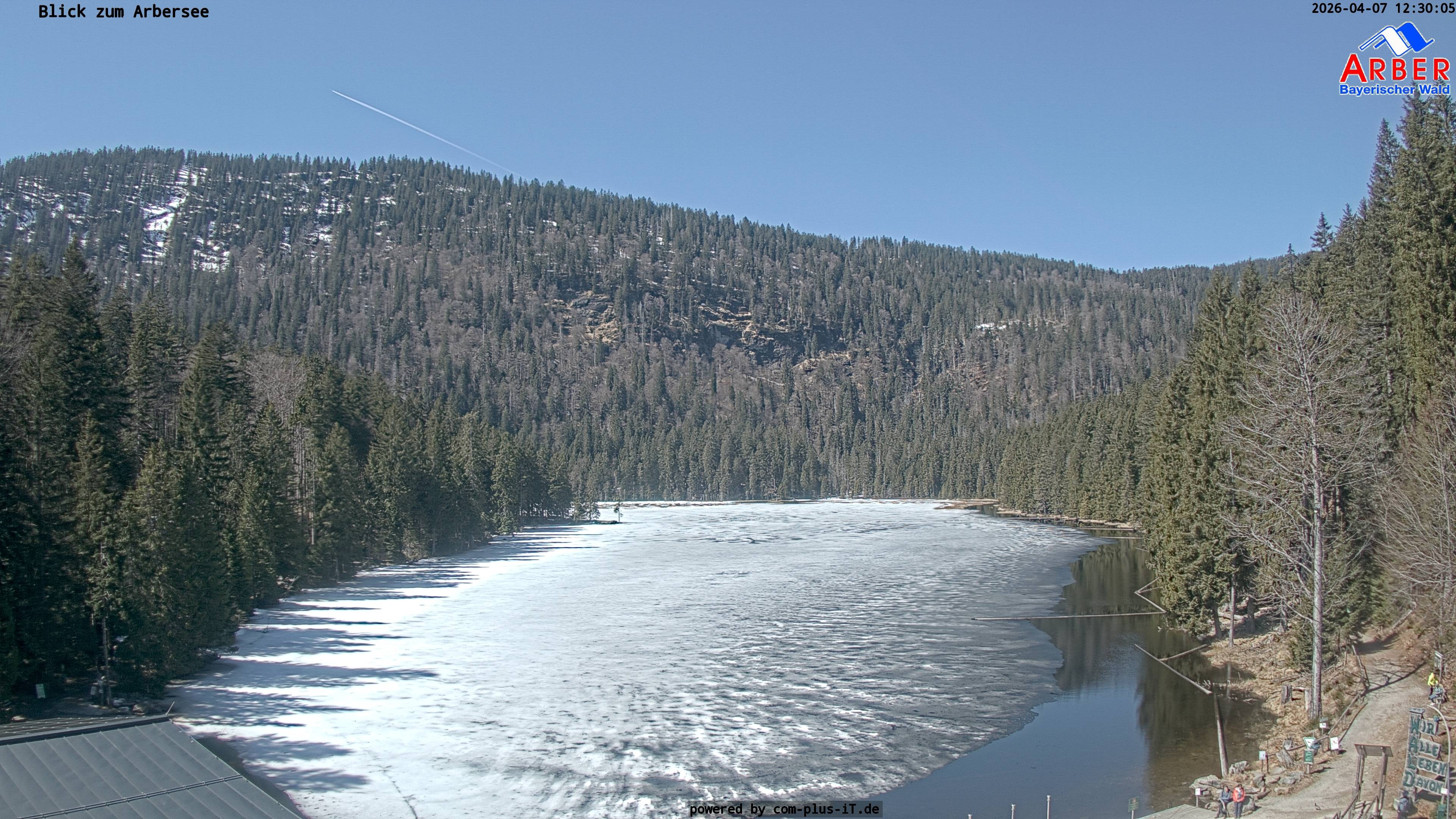 Archived image Webcam Lake "Großer Arbersee" (Bavarian Forest)
