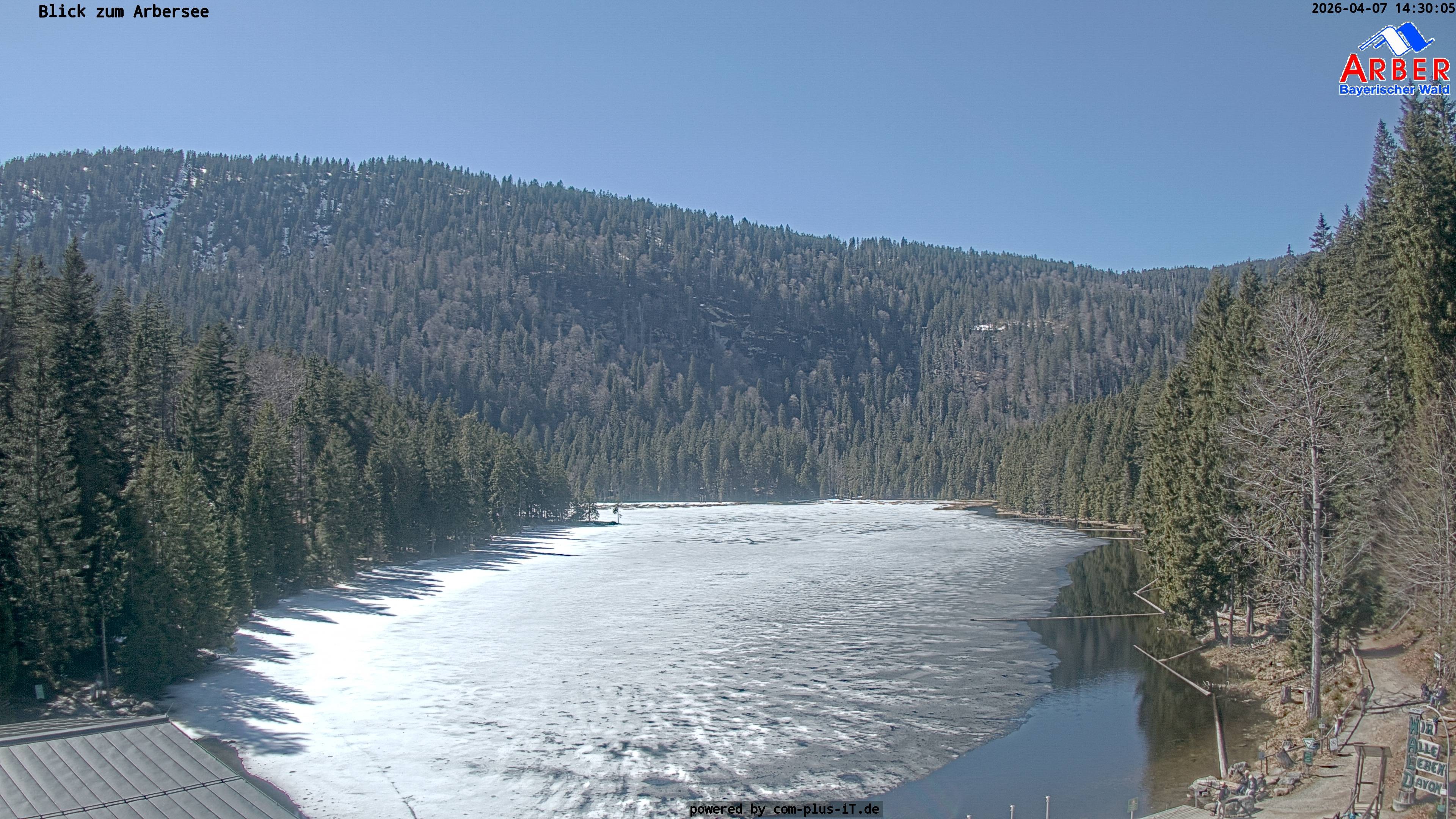 Archived image Webcam Lake "Großer Arbersee" (Bavarian Forest)