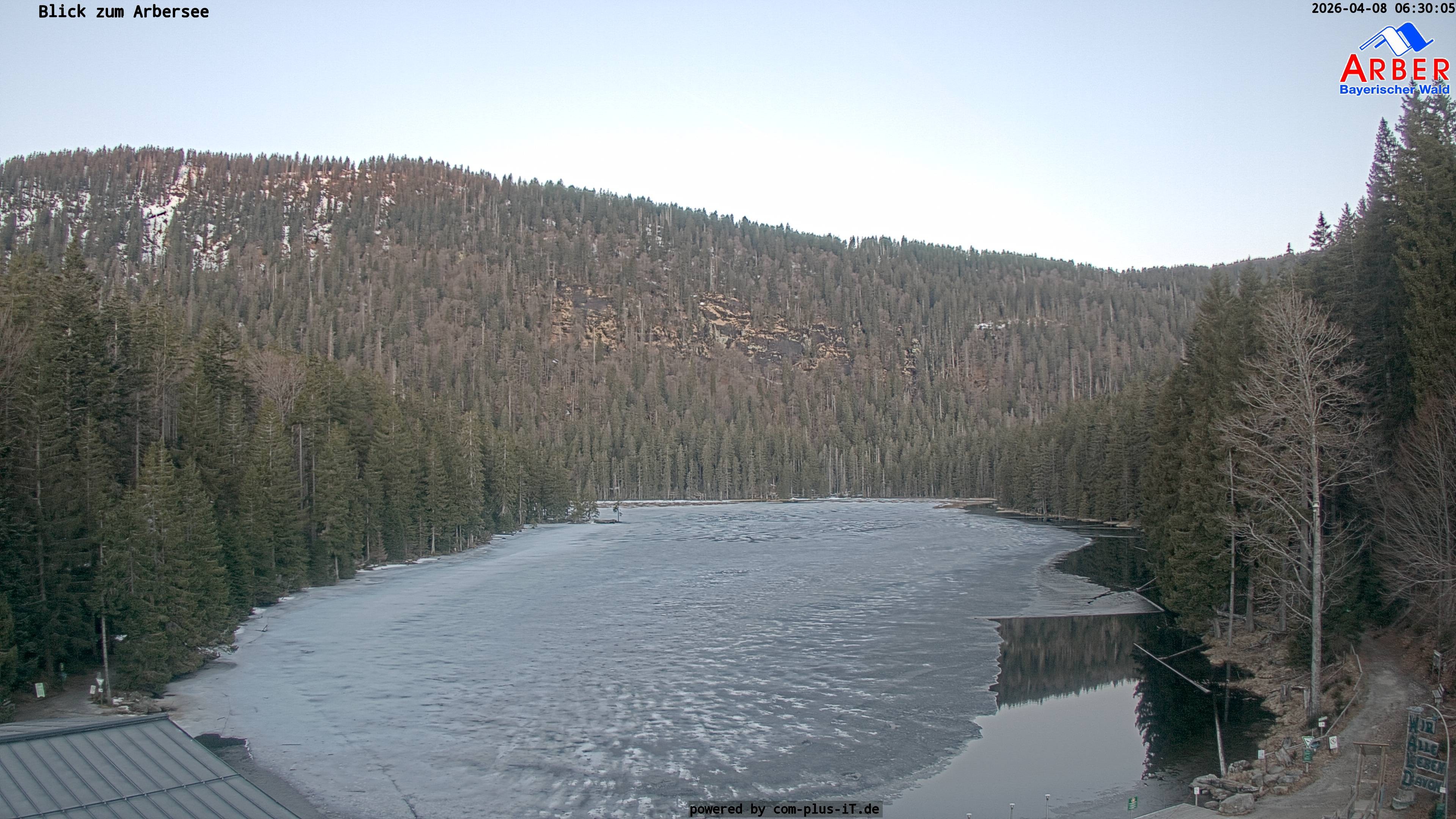 Archiv Foto Webcam Großer Arbersee - Bayerischer Wald