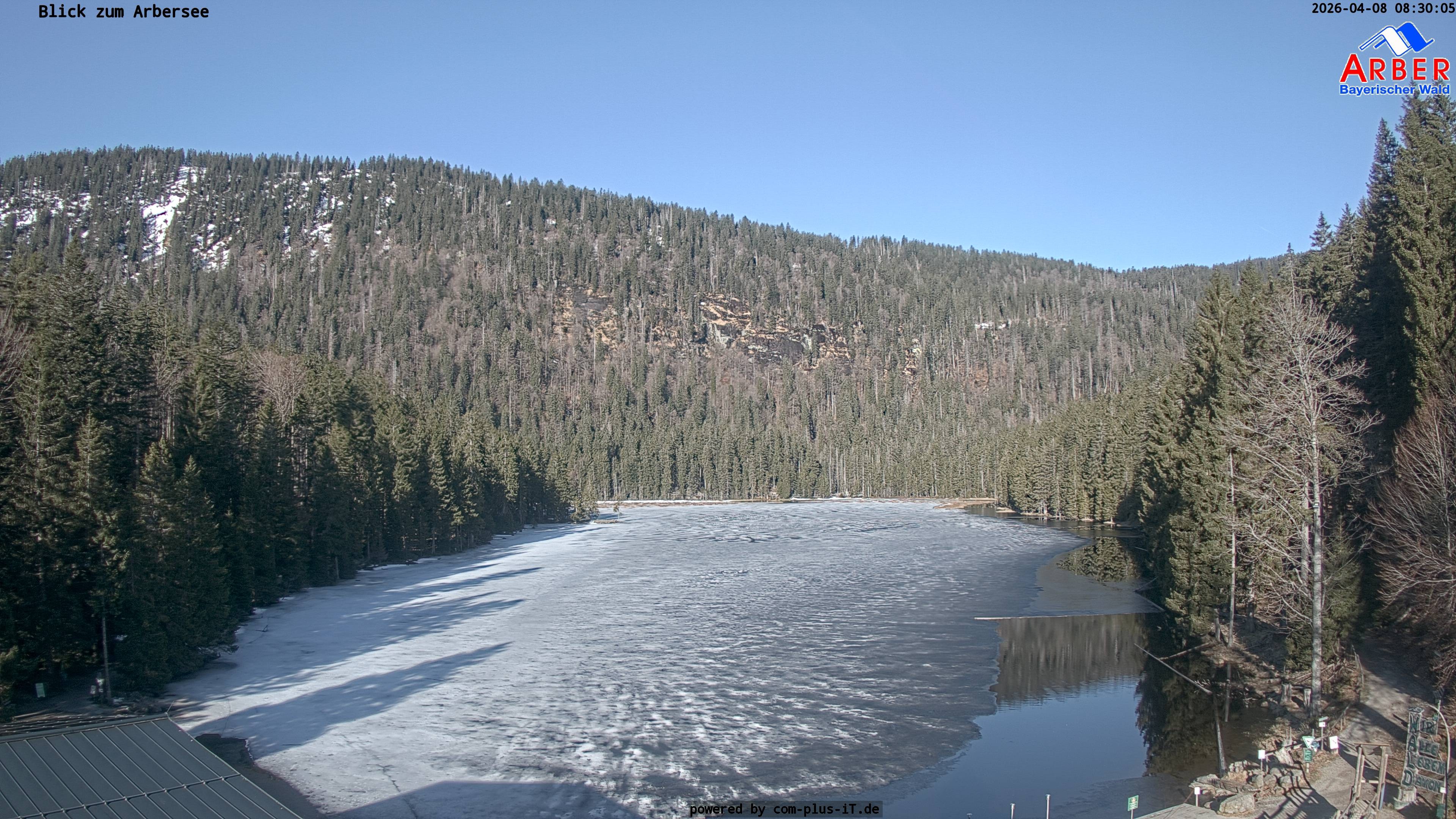 Archiv Foto Webcam Großer Arbersee - Bayerischer Wald