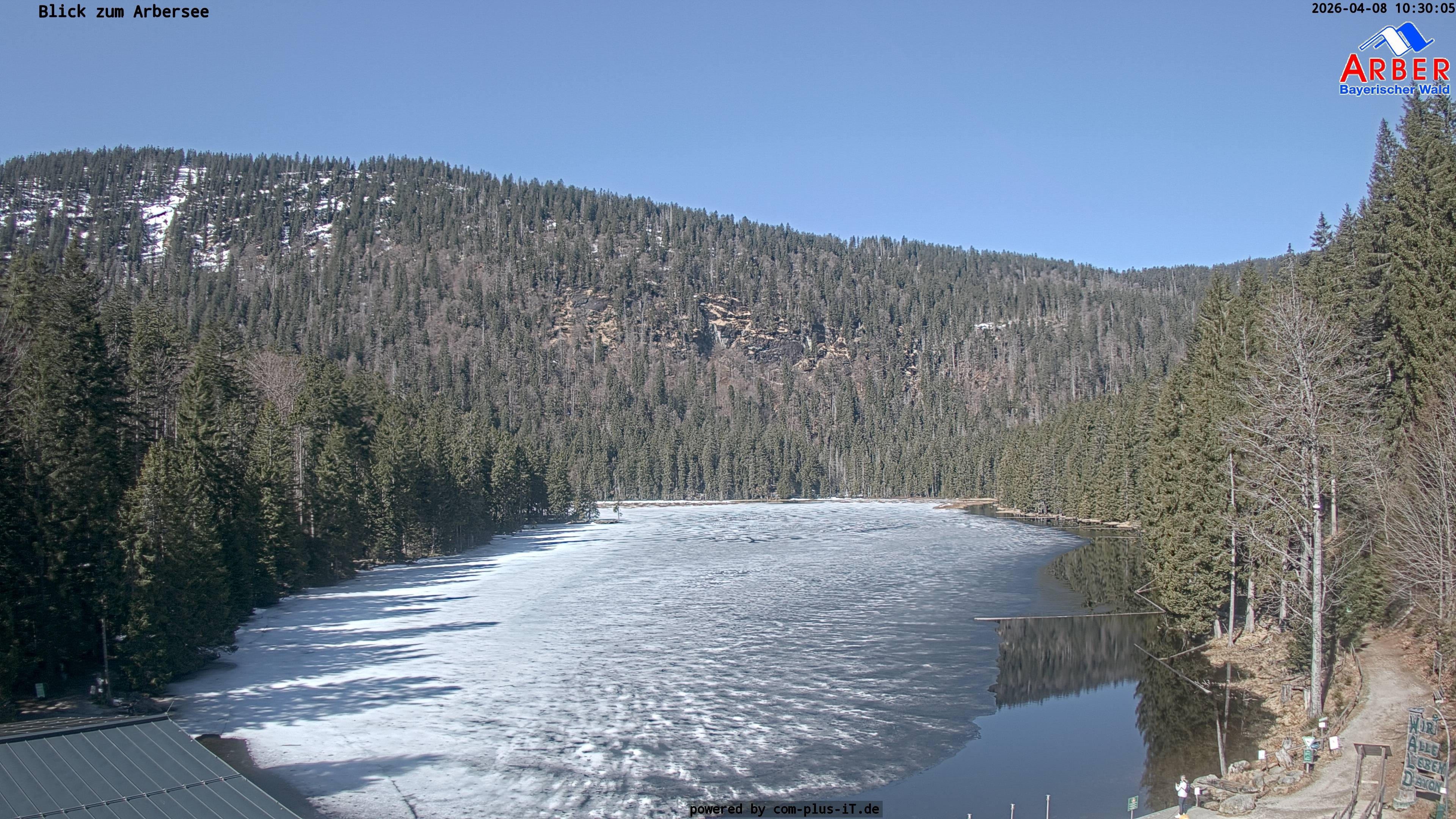 Archiv Foto Webcam Großer Arbersee - Bayerischer Wald