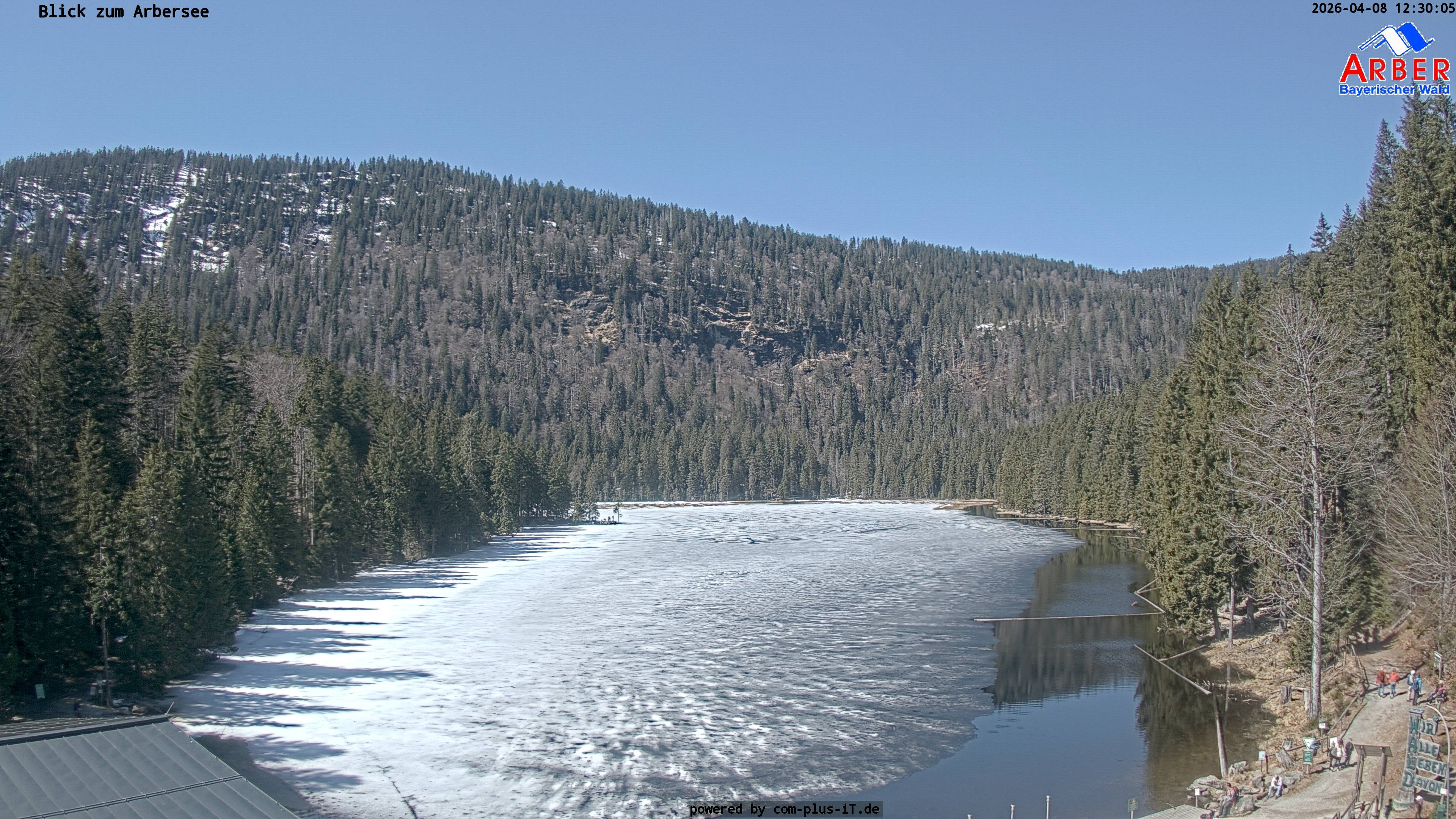 Archiv Foto Webcam Großer Arbersee - Bayerischer Wald