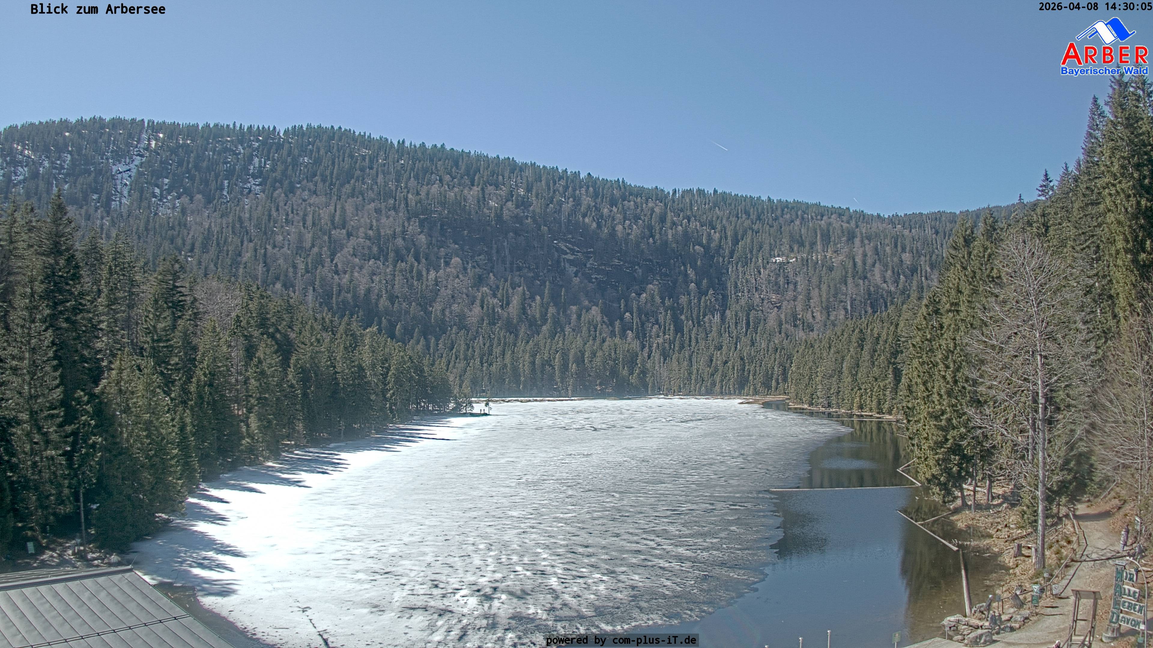 Archiv Foto Webcam Großer Arbersee - Bayerischer Wald