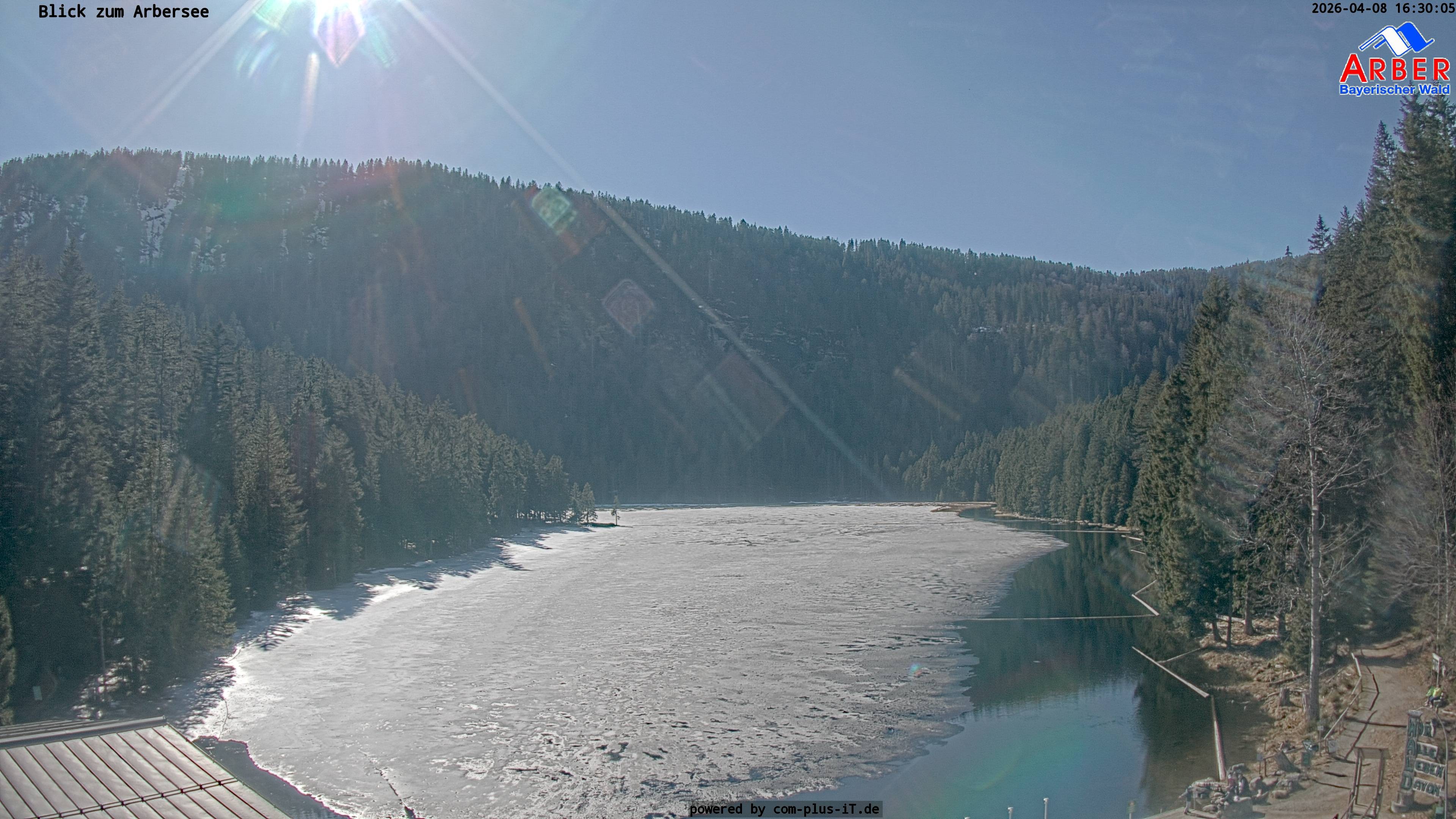 Archiv Foto Webcam Großer Arbersee - Bayerischer Wald