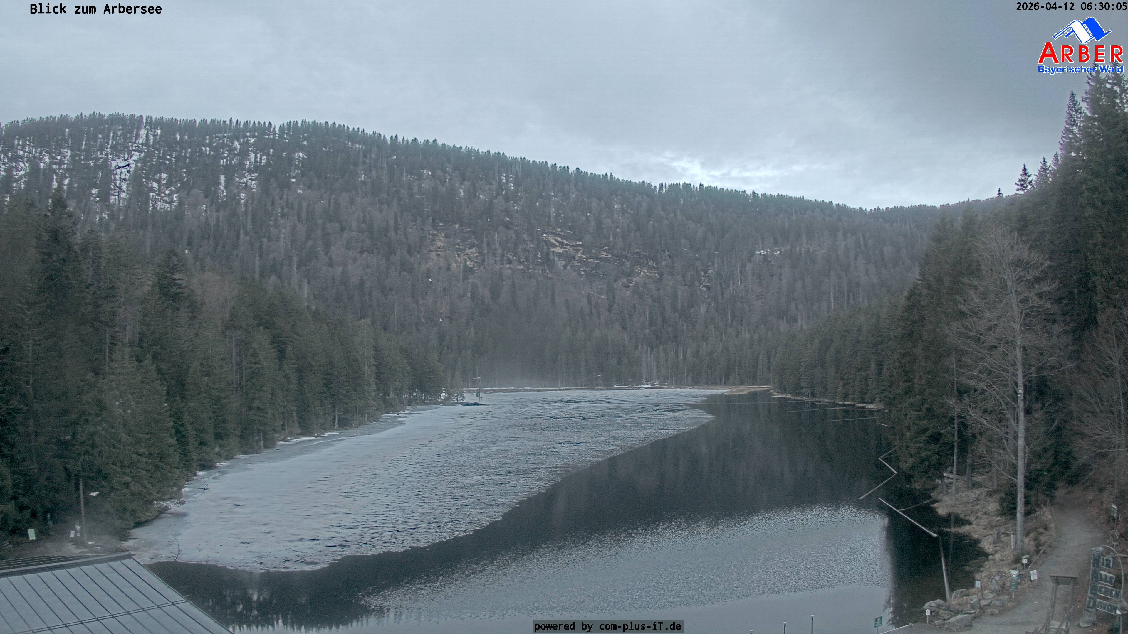 Archiv Foto Webcam Großer Arbersee - Bayerischer Wald