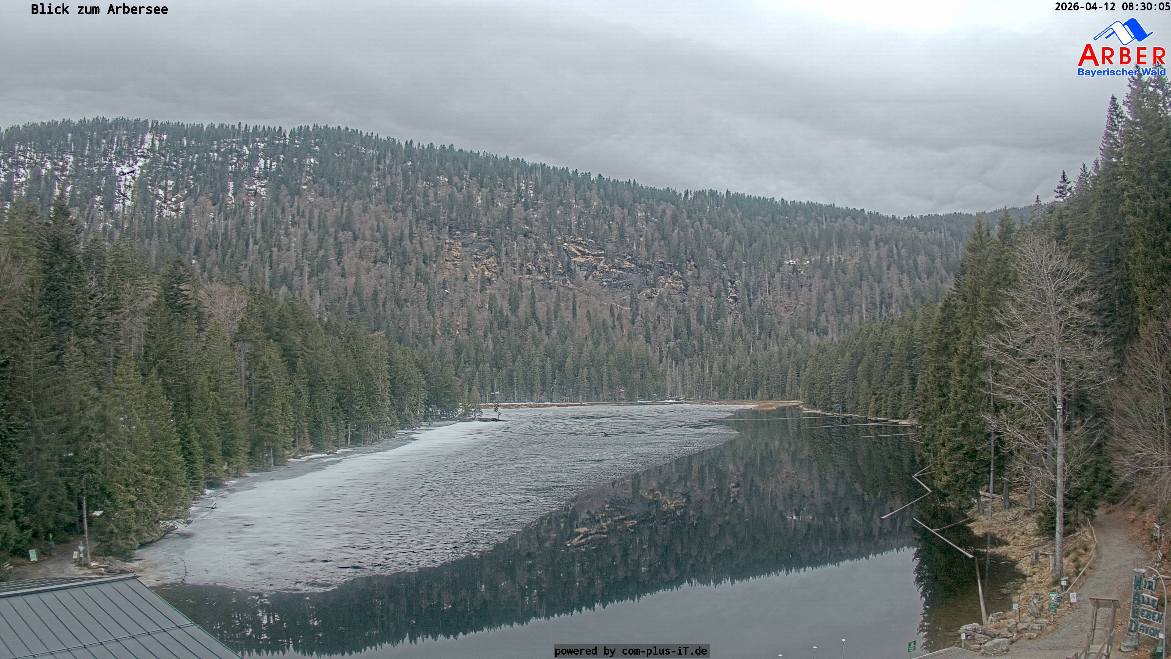 Archiv Foto Webcam Großer Arbersee - Bayerischer Wald