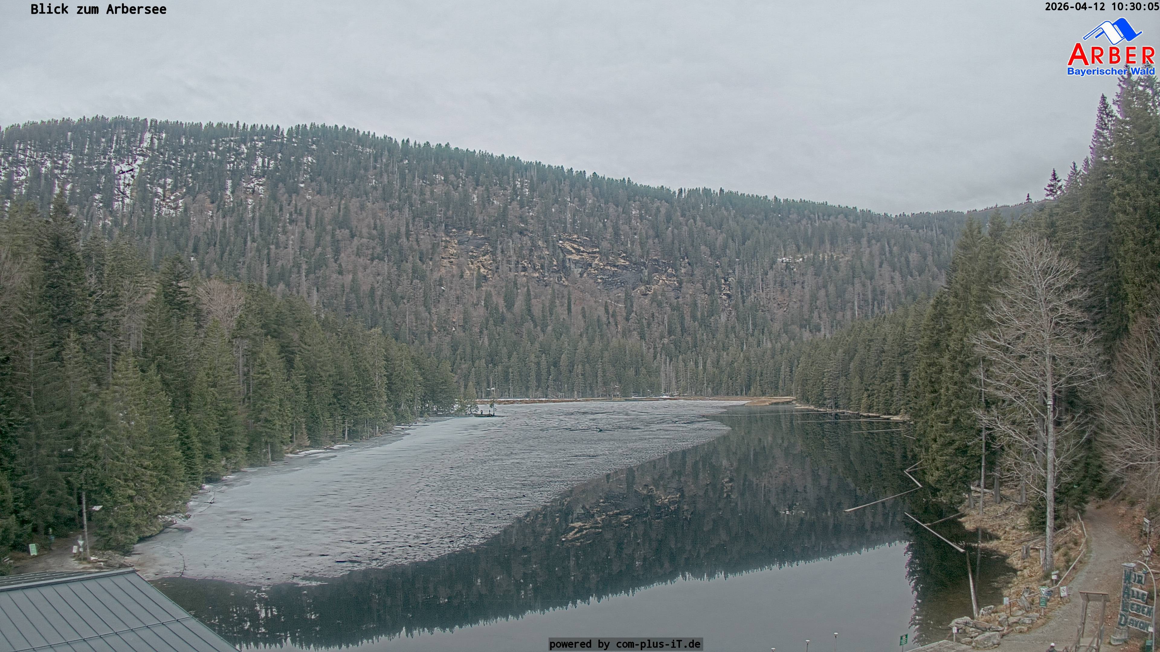 Archiv Foto Webcam Großer Arbersee - Bayerischer Wald