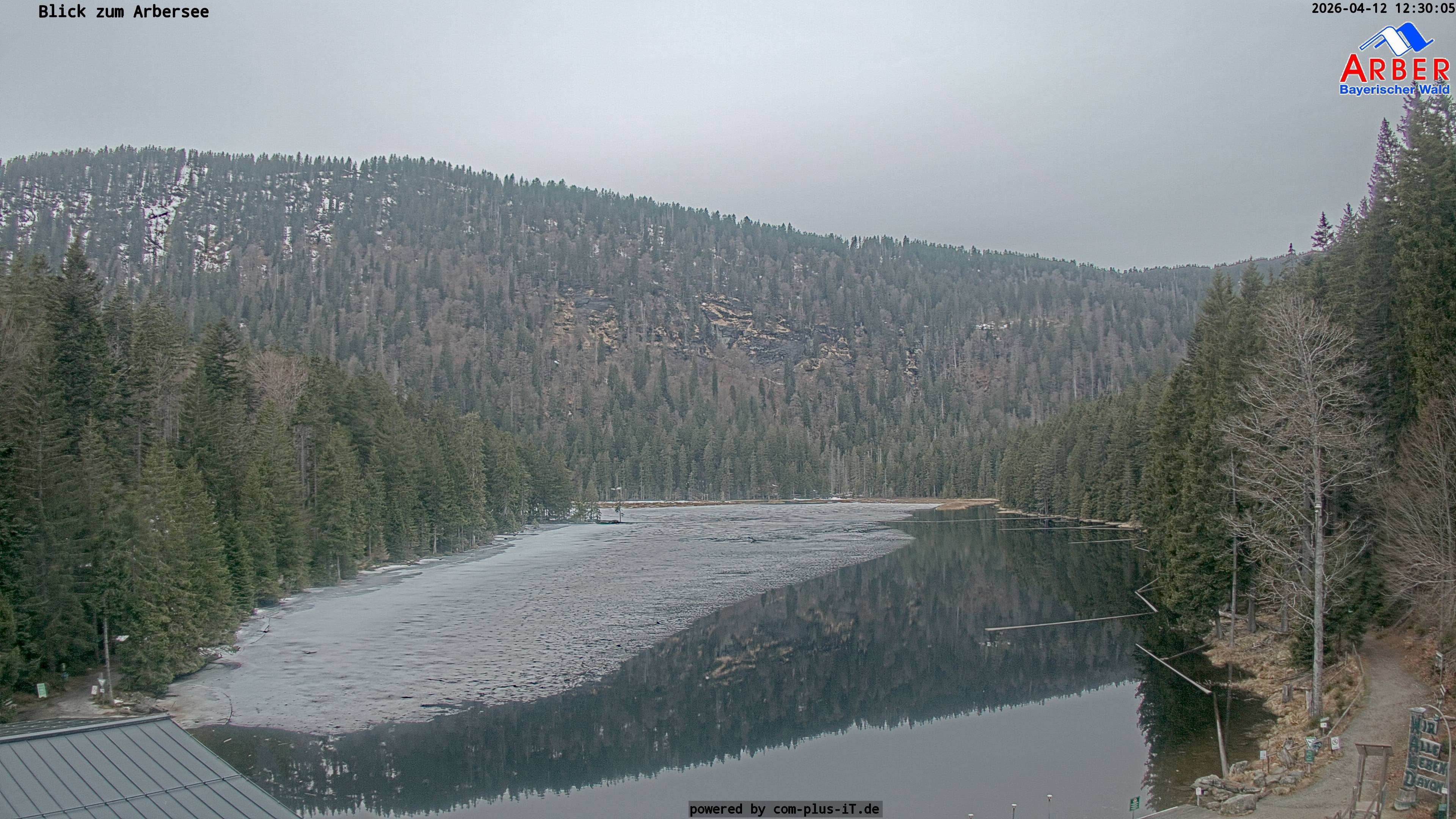 Archiv Foto Webcam Großer Arbersee - Bayerischer Wald