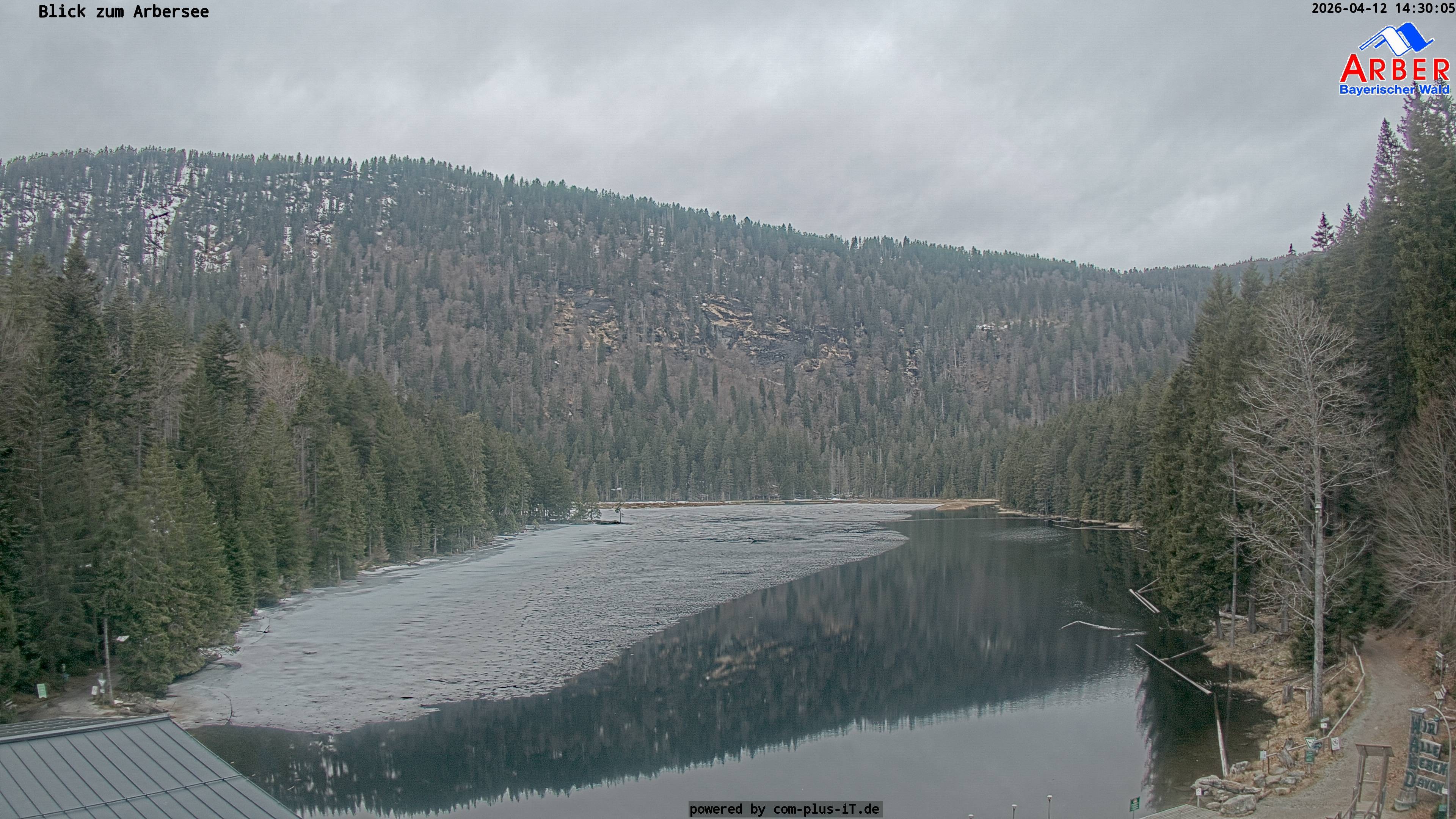 Archiv Foto Webcam Großer Arbersee - Bayerischer Wald