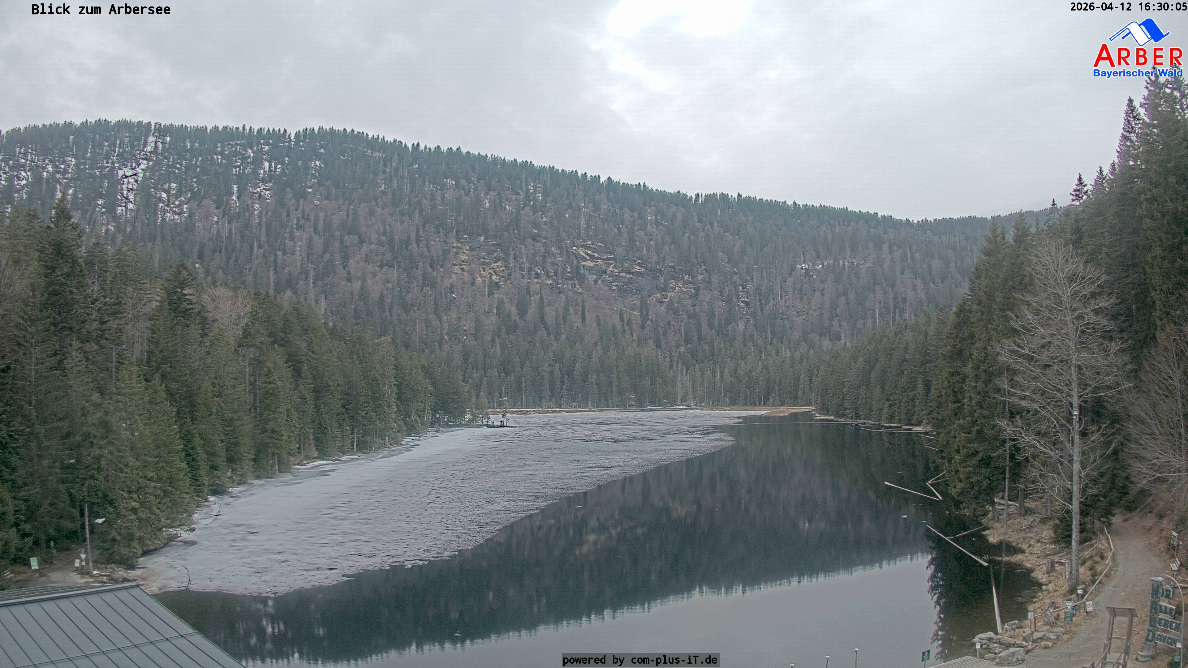 Archiv Foto Webcam Großer Arbersee - Bayerischer Wald