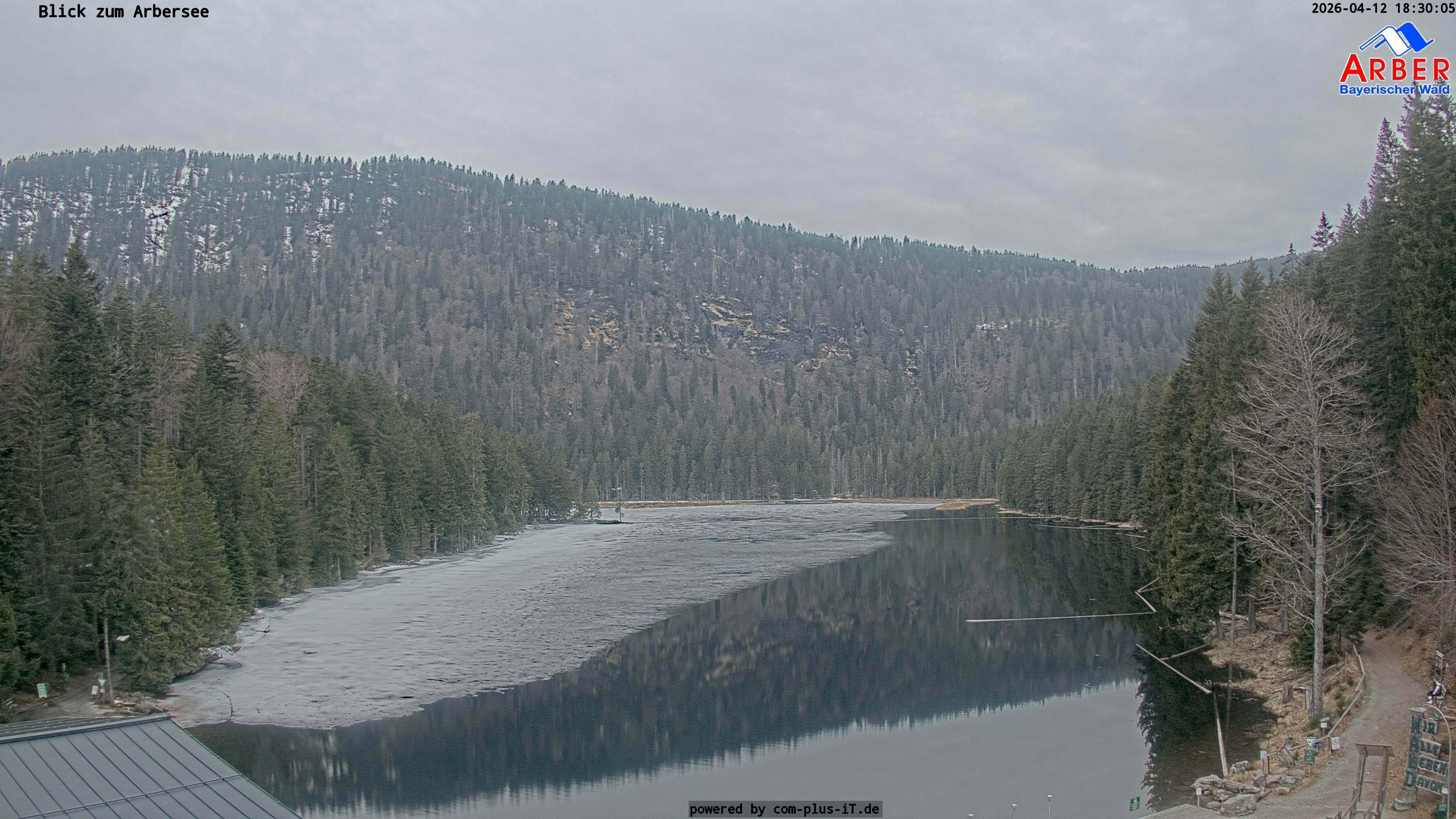 Archiv Foto Webcam Großer Arbersee - Bayerischer Wald