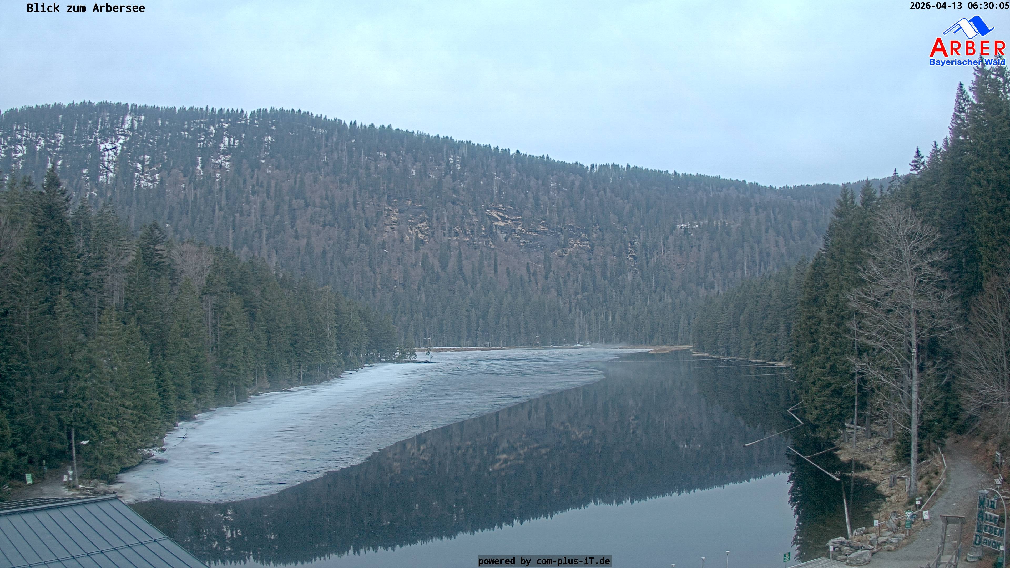 Archived image Webcam Lake "Großer Arbersee" (Bavarian Forest)