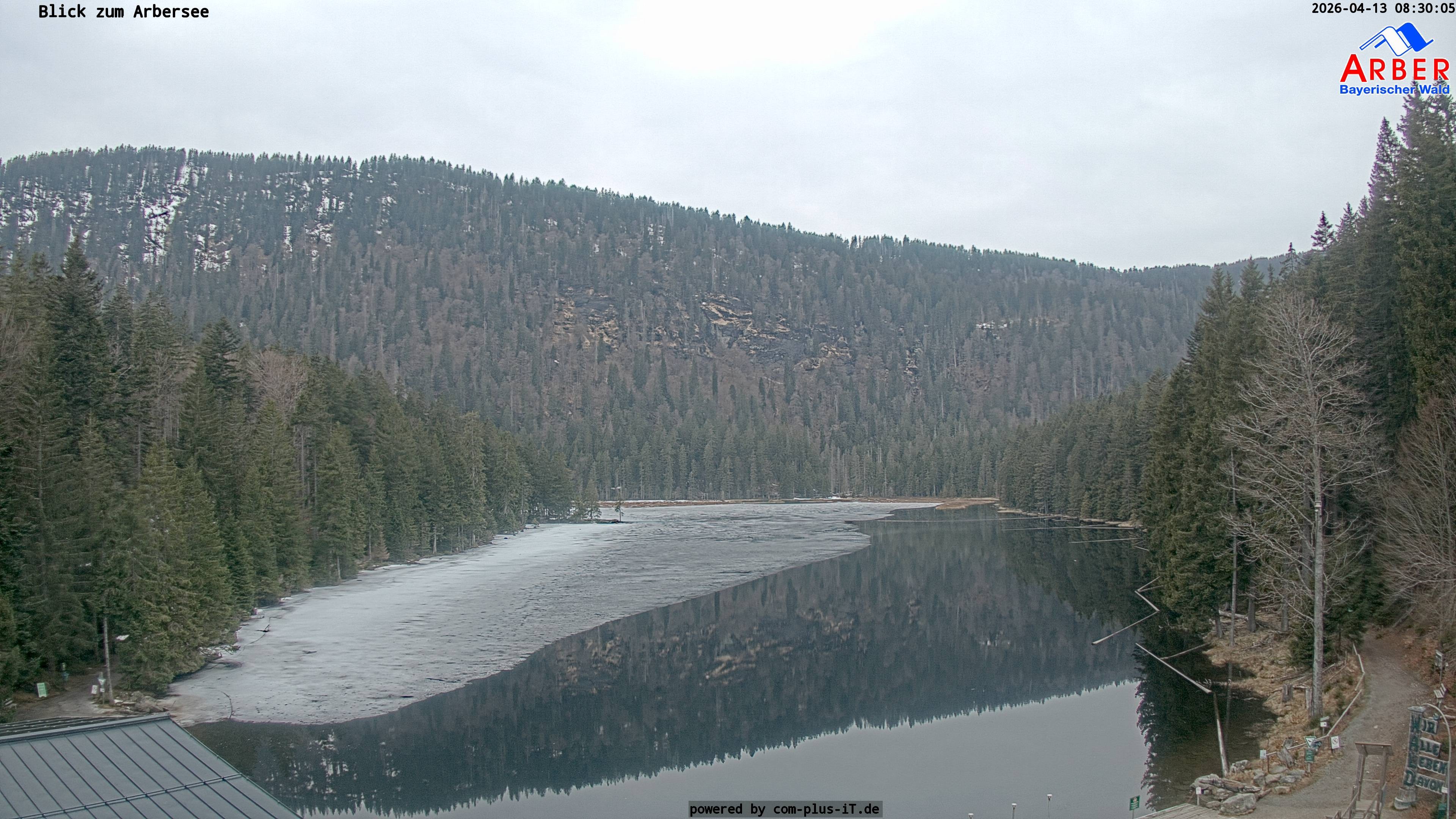Archived image Webcam Lake "Großer Arbersee" (Bavarian Forest)