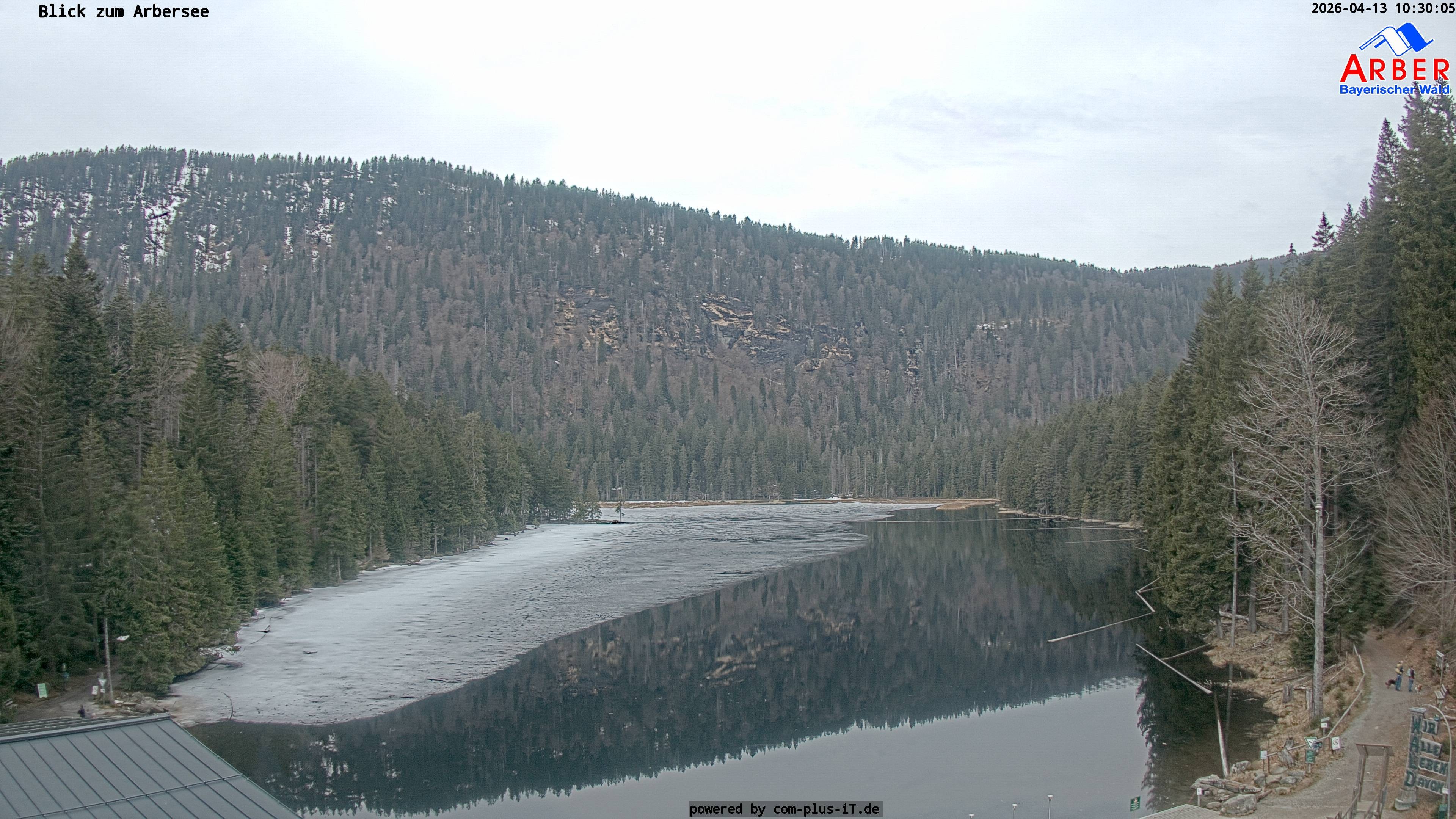 Archived image Webcam Lake "Großer Arbersee" (Bavarian Forest)