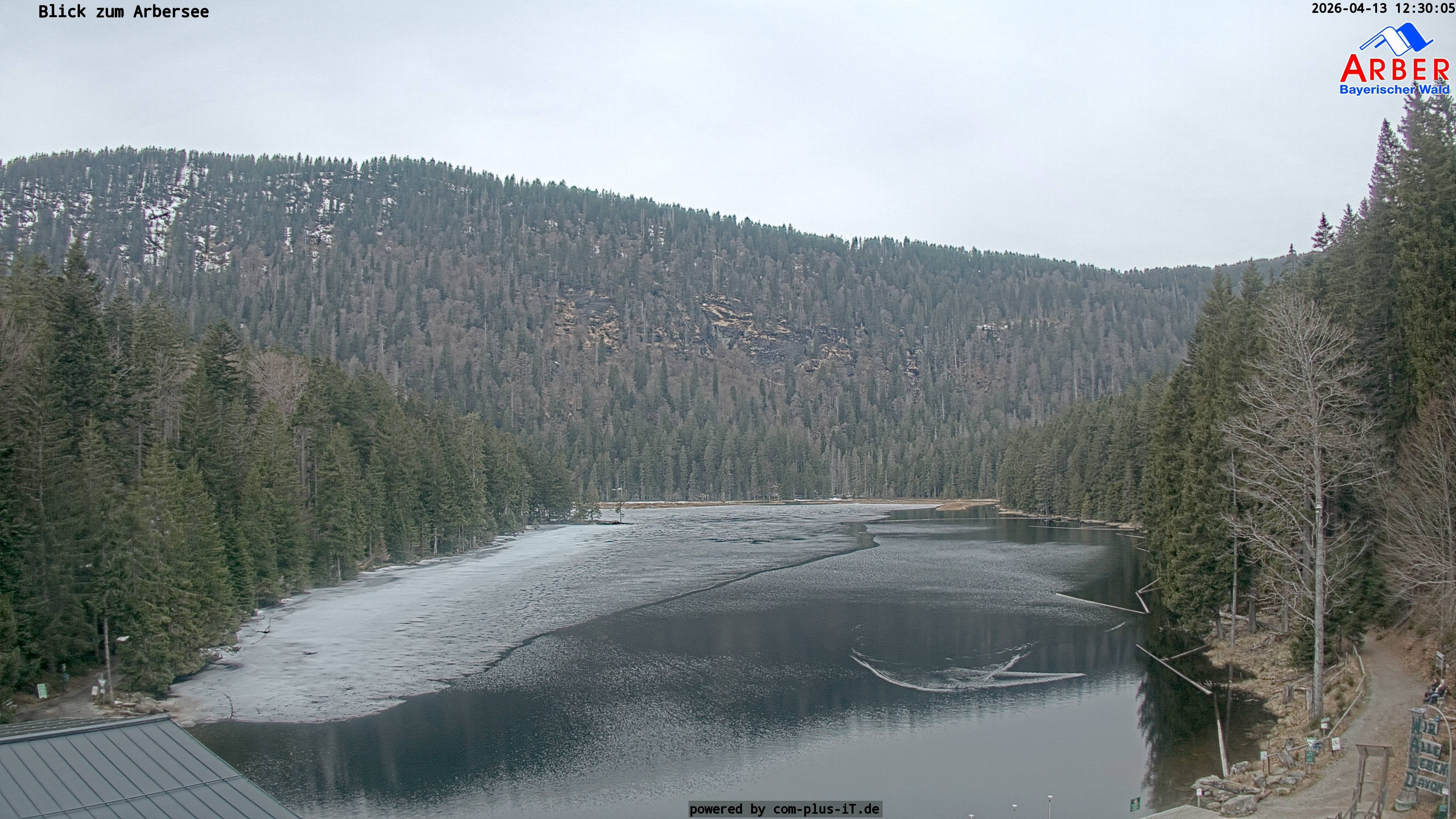 Archived image Webcam Lake "Großer Arbersee" (Bavarian Forest)
