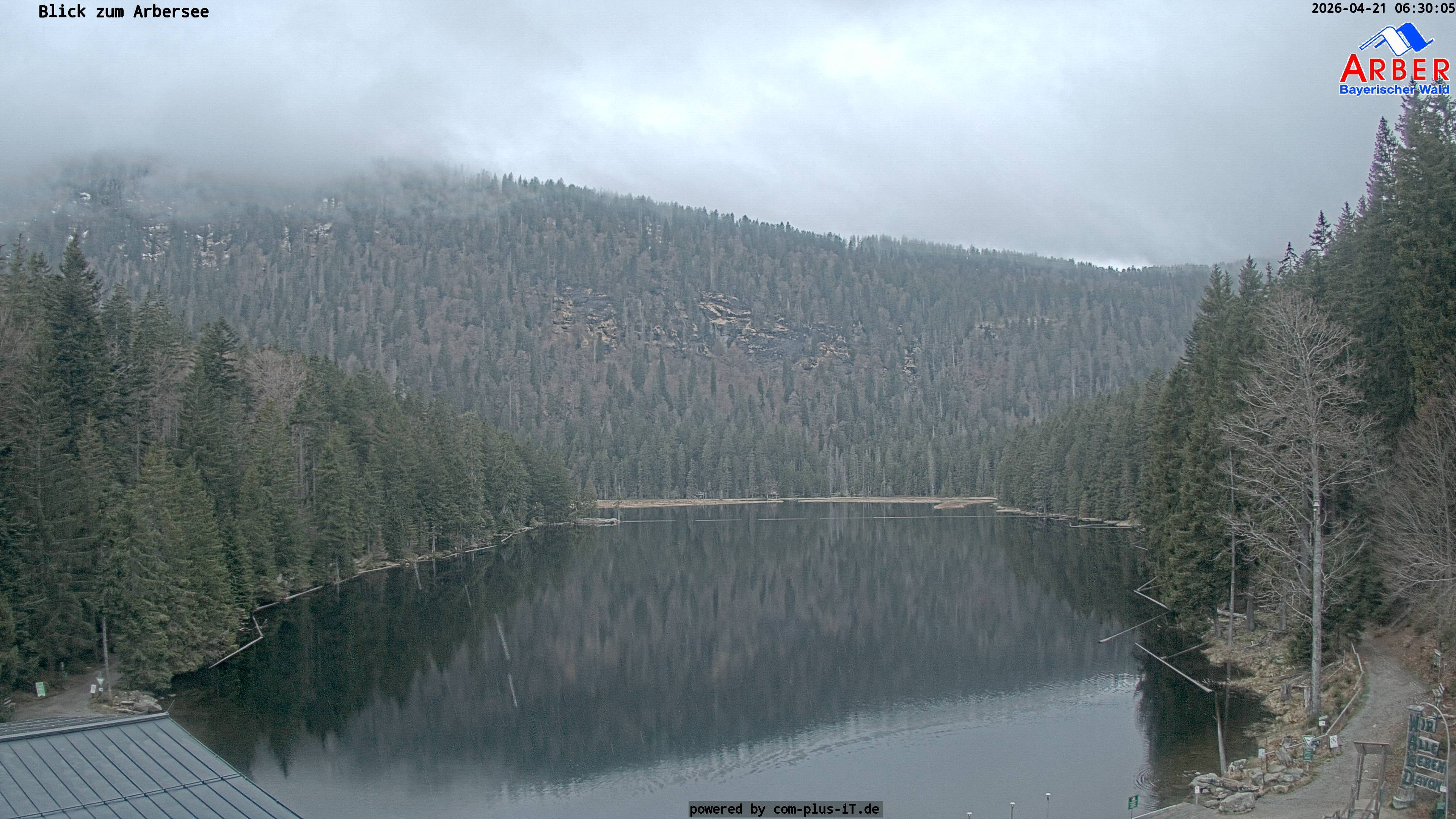 Archiv Foto Webcam Großer Arbersee - Bayerischer Wald