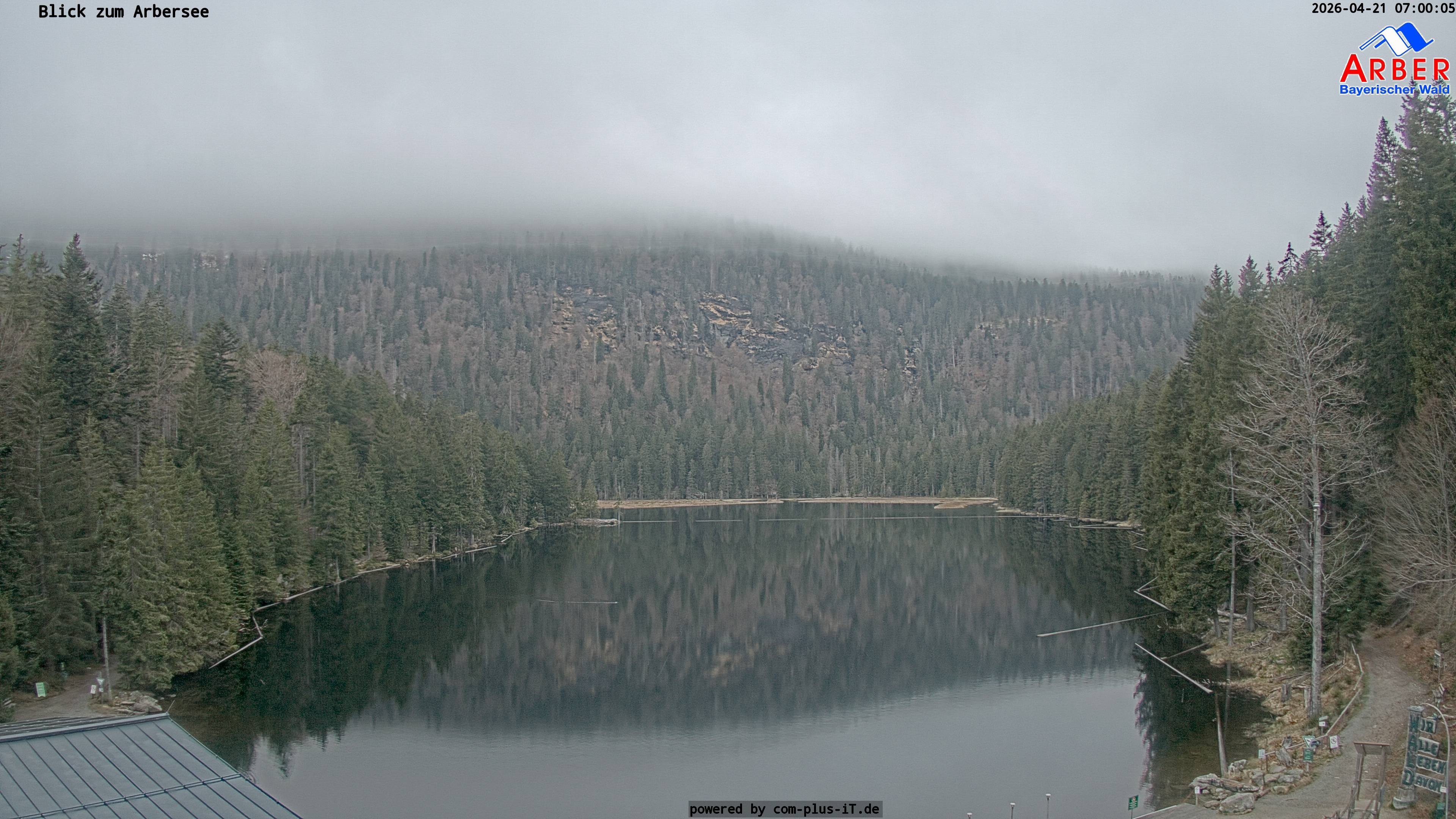 Archiv Foto Webcam Großer Arbersee - Bayerischer Wald
