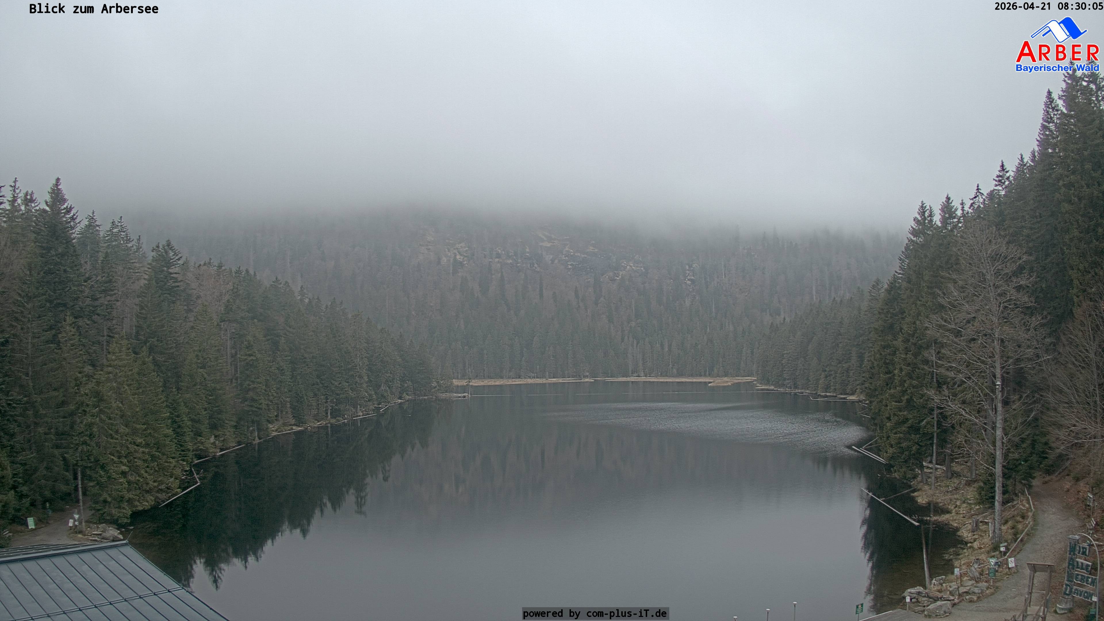 Archiv Foto Webcam Großer Arbersee - Bayerischer Wald