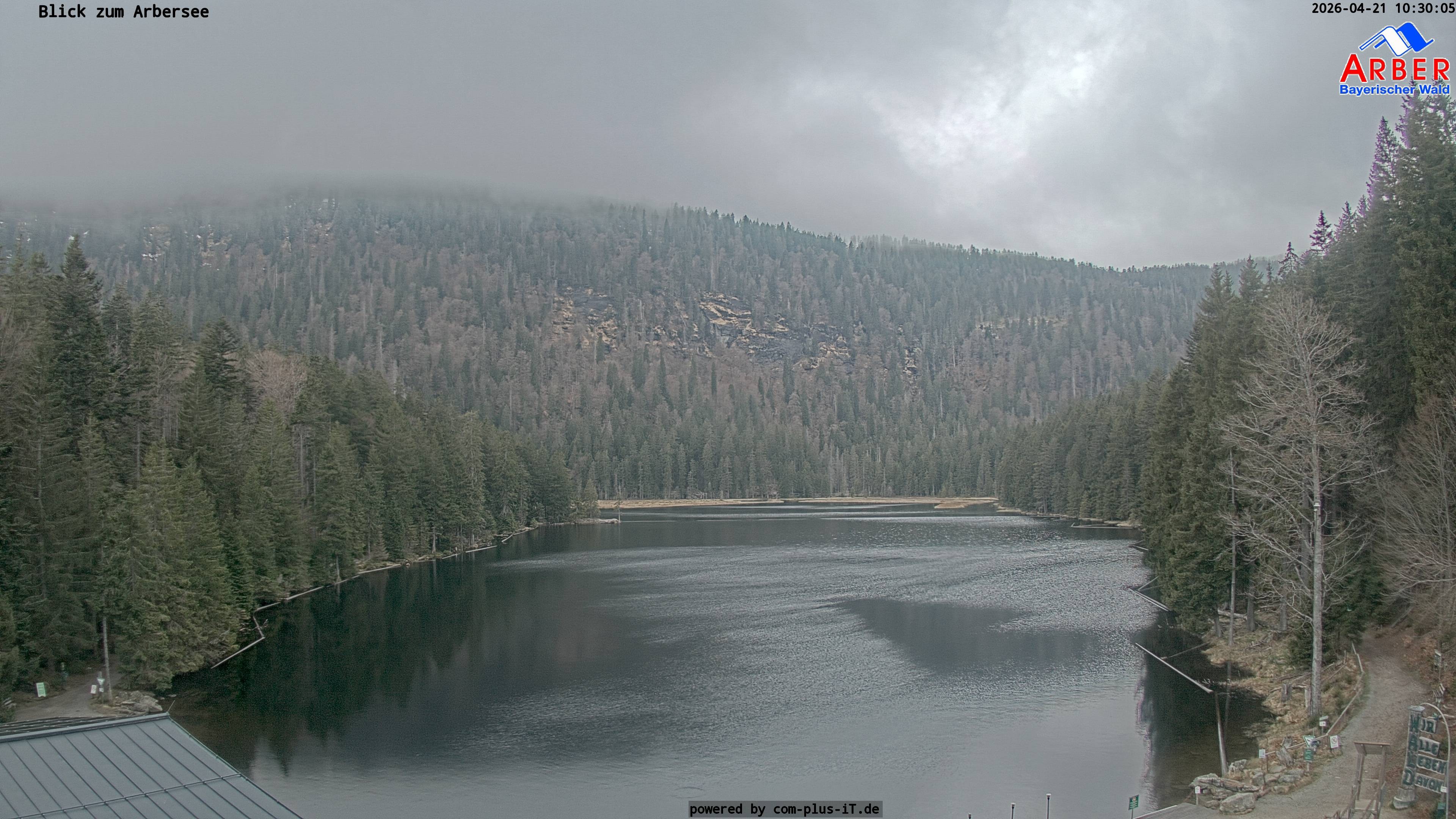Archiv Foto Webcam Großer Arbersee - Bayerischer Wald