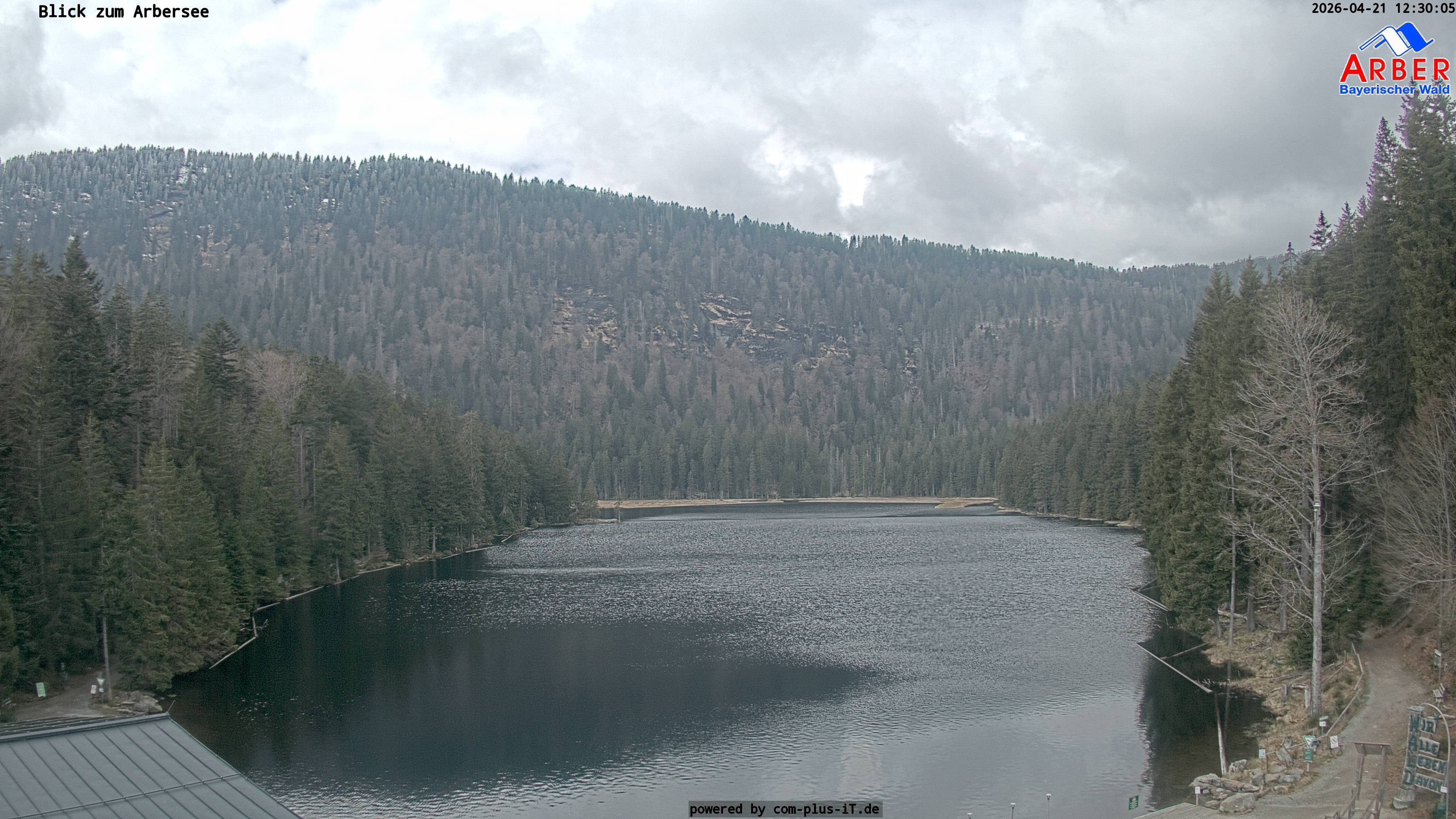 Archiv Foto Webcam Großer Arbersee - Bayerischer Wald