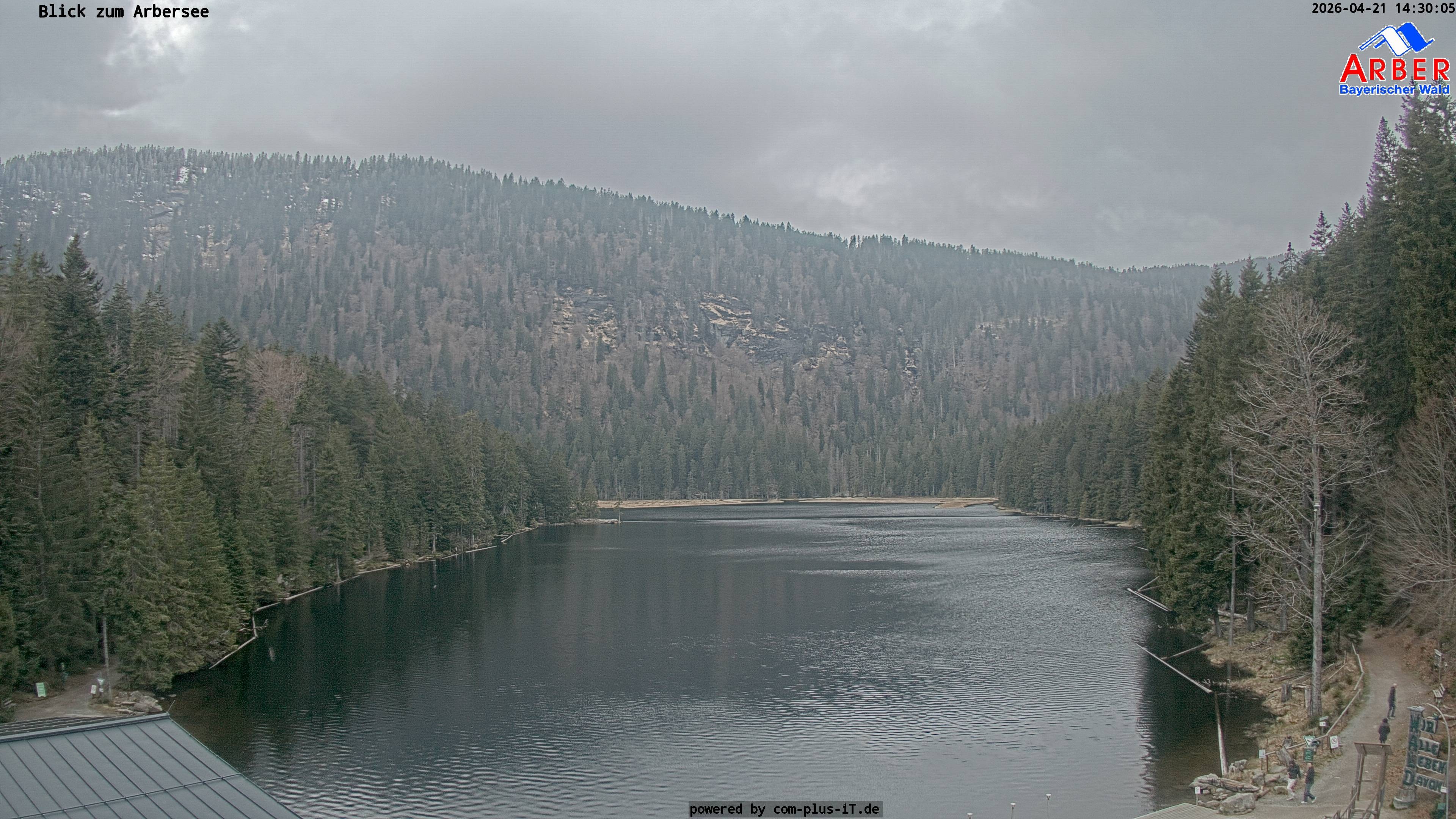 Archiv Foto Webcam Großer Arbersee - Bayerischer Wald