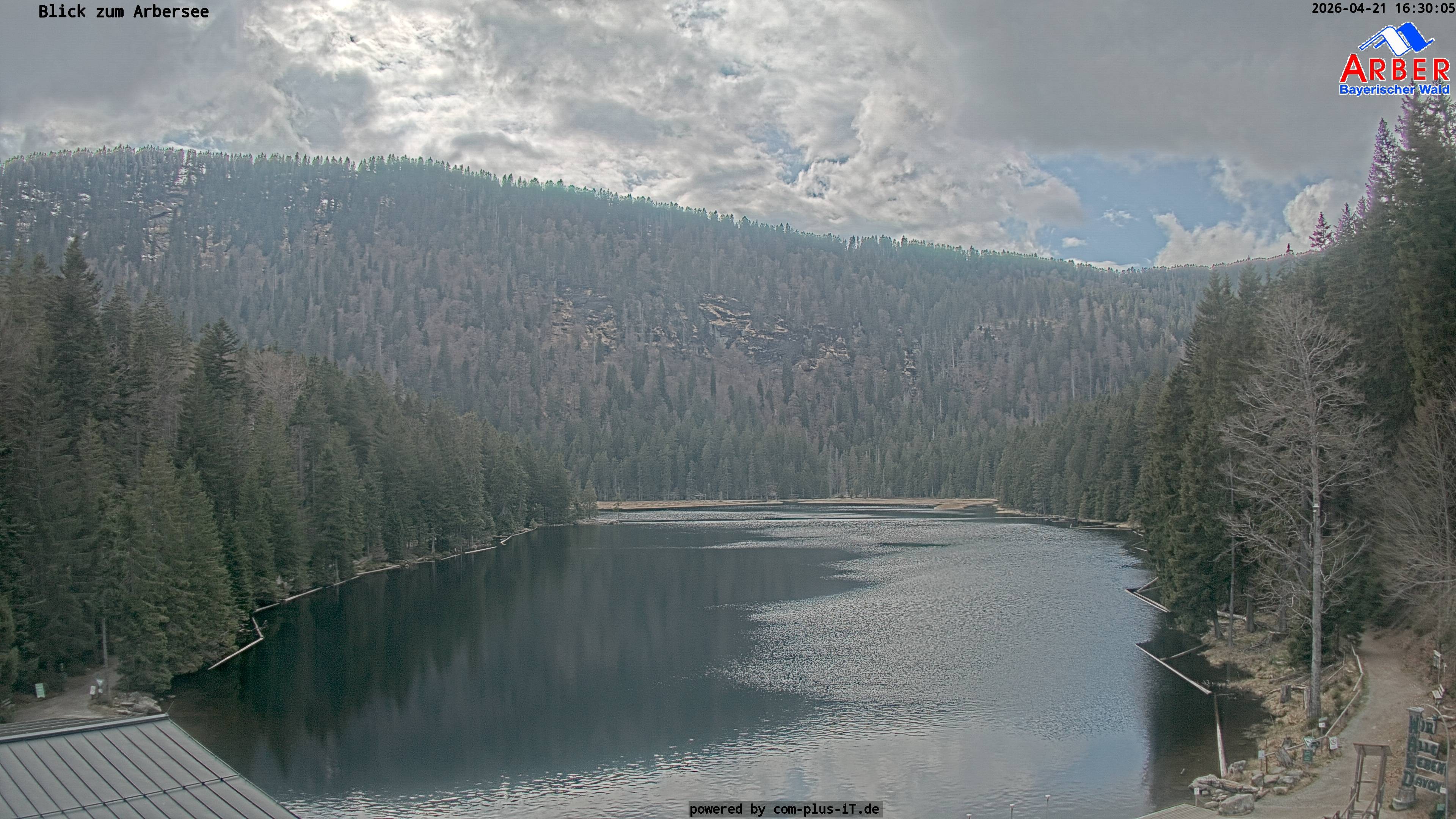 Archiv Foto Webcam Großer Arbersee - Bayerischer Wald