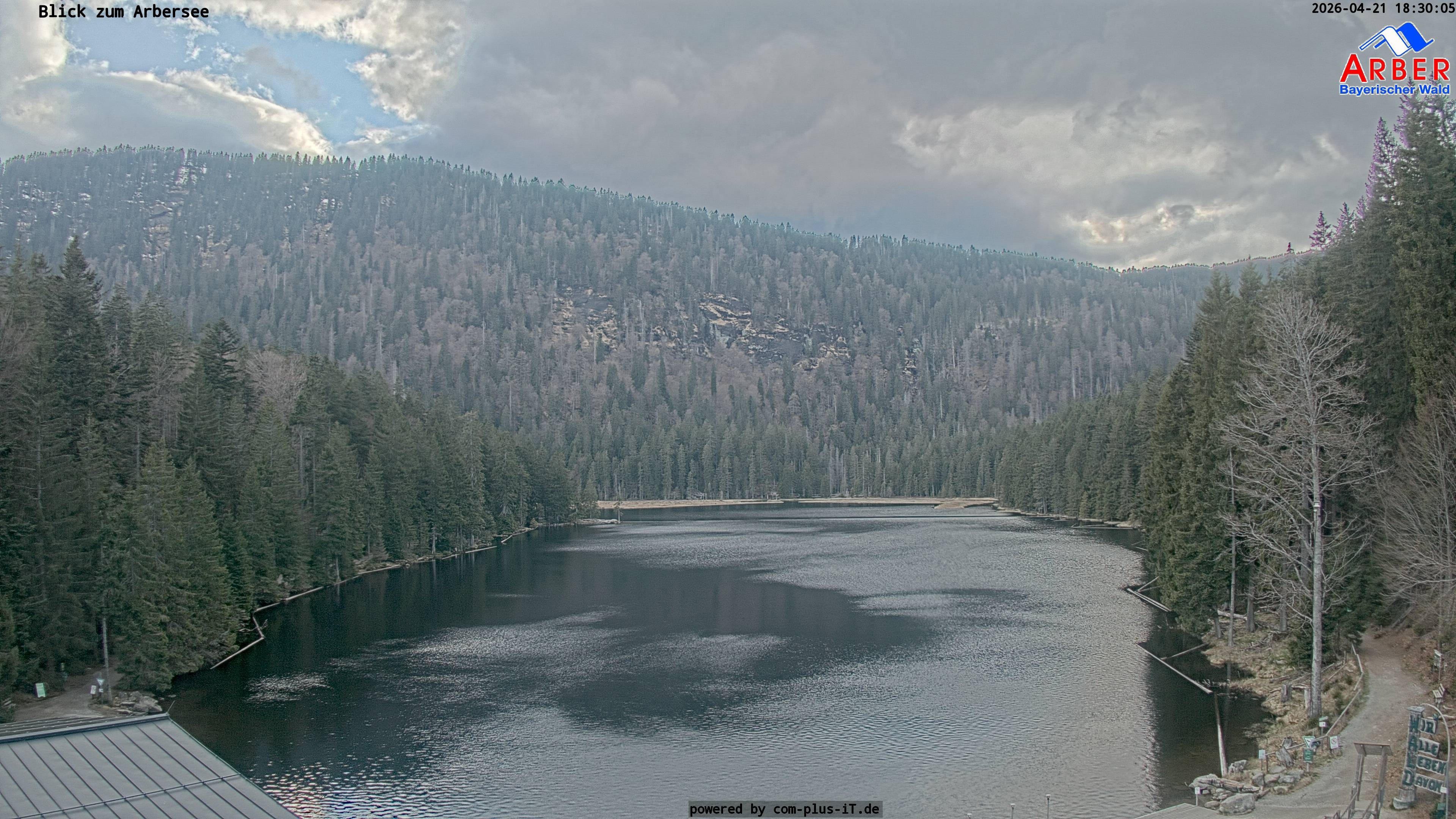Archiv Foto Webcam Großer Arbersee - Bayerischer Wald