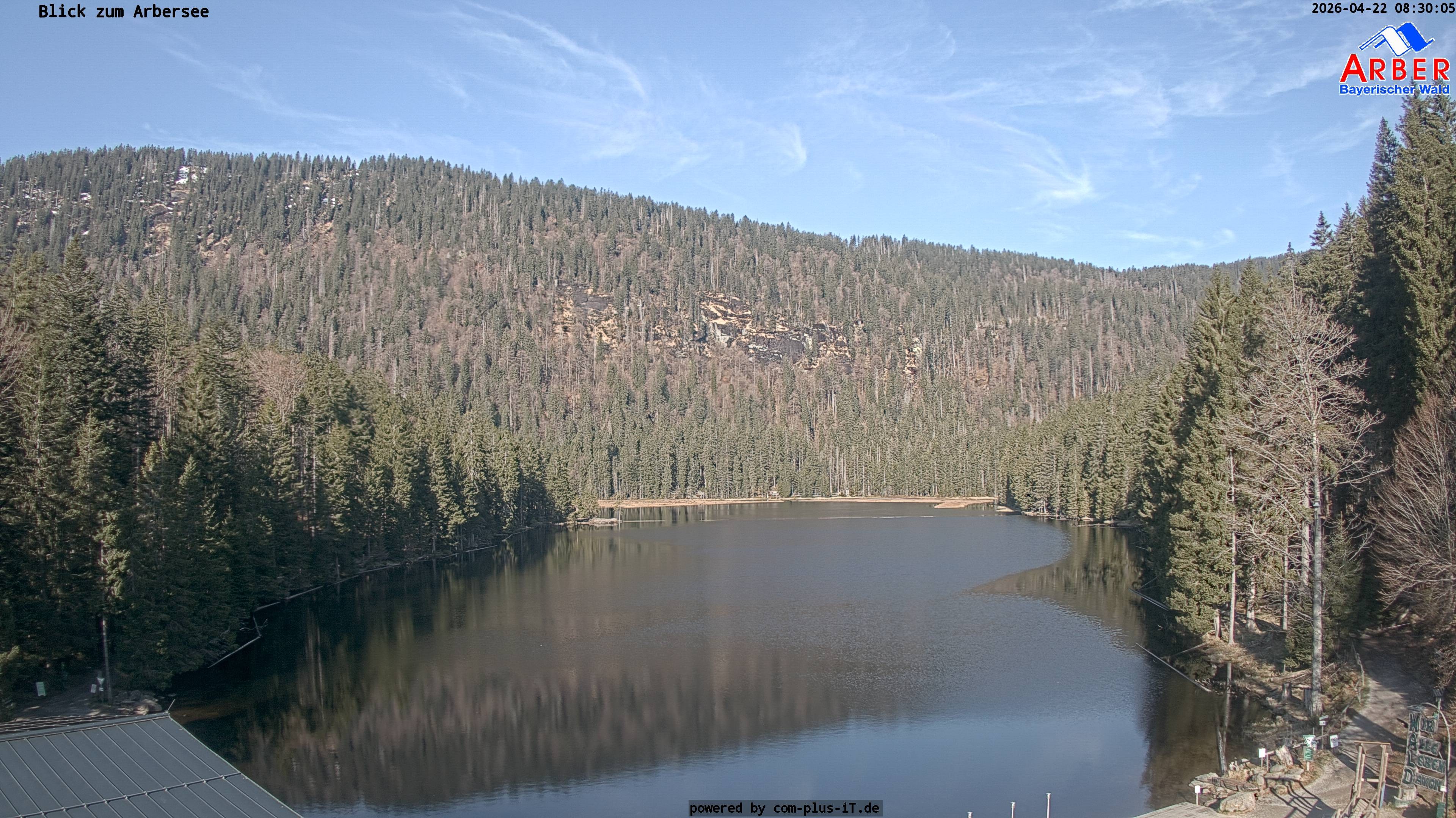 Archiv Foto Webcam Großer Arbersee - Bayerischer Wald