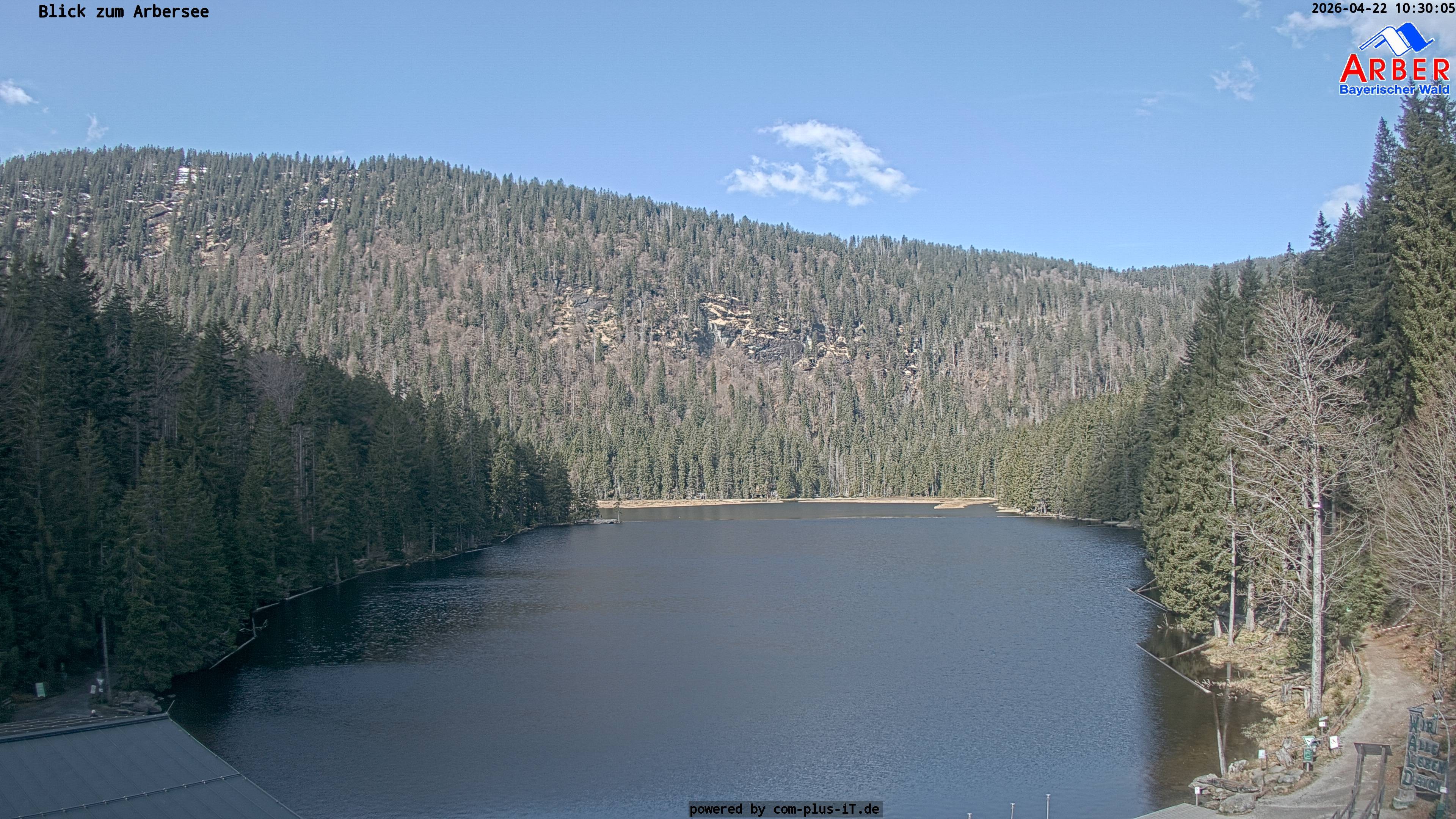 Archiv Foto Webcam Großer Arbersee - Bayerischer Wald