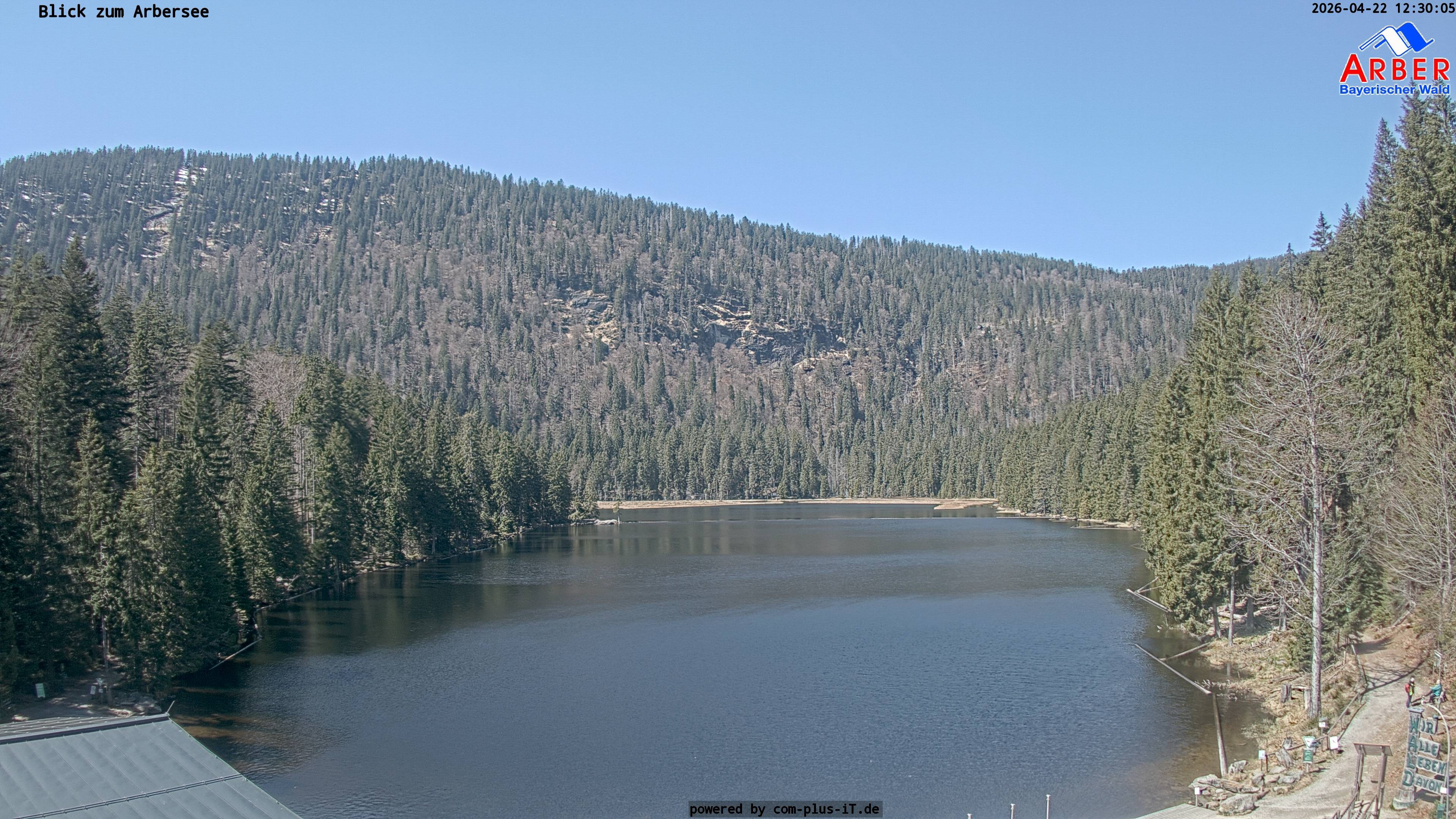 Archiv Foto Webcam Großer Arbersee - Bayerischer Wald