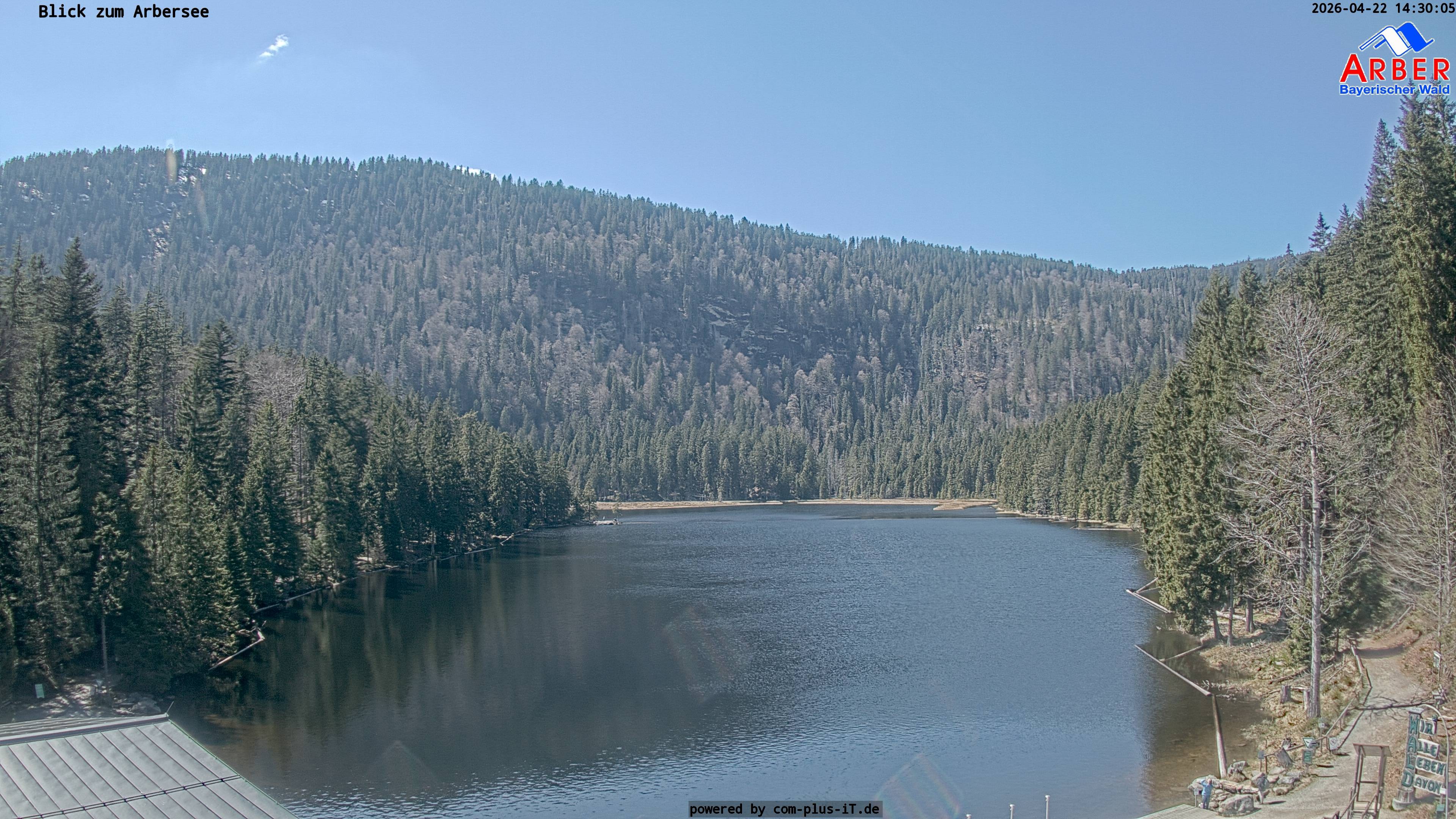 Archiv Foto Webcam Großer Arbersee - Bayerischer Wald
