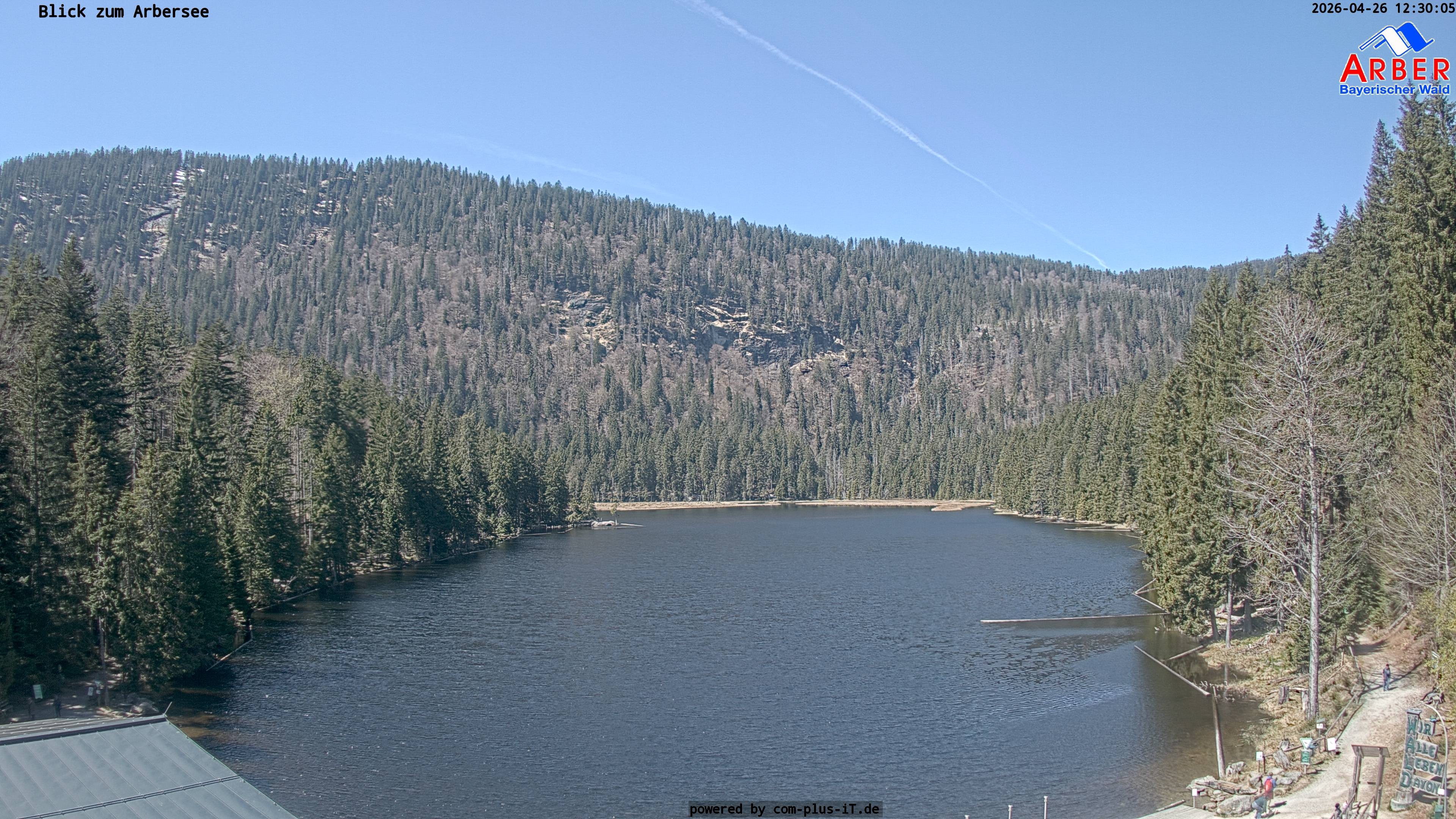 Archiv Foto Webcam Großer Arbersee - Bayerischer Wald