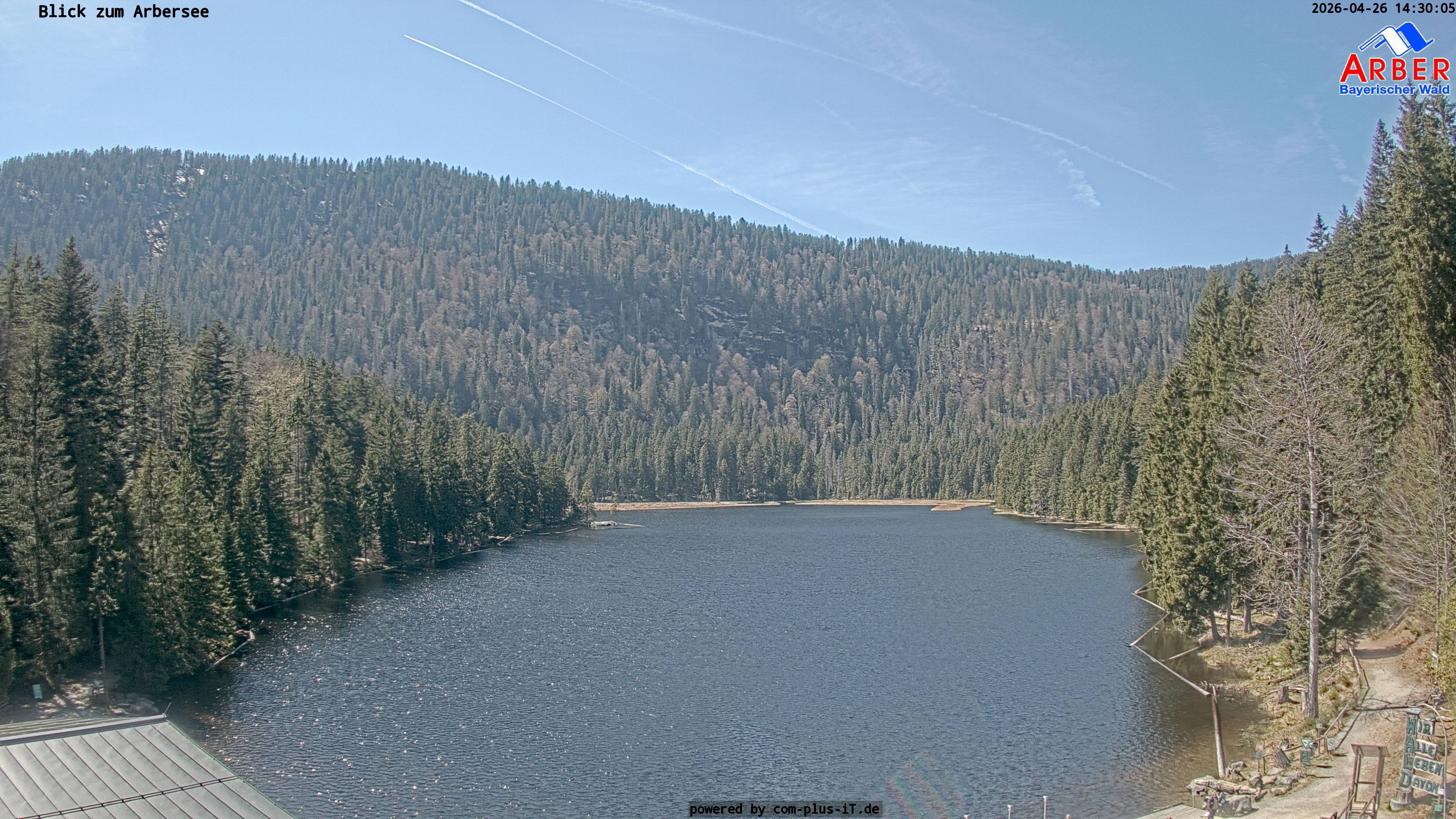 Archiv Foto Webcam Großer Arbersee - Bayerischer Wald