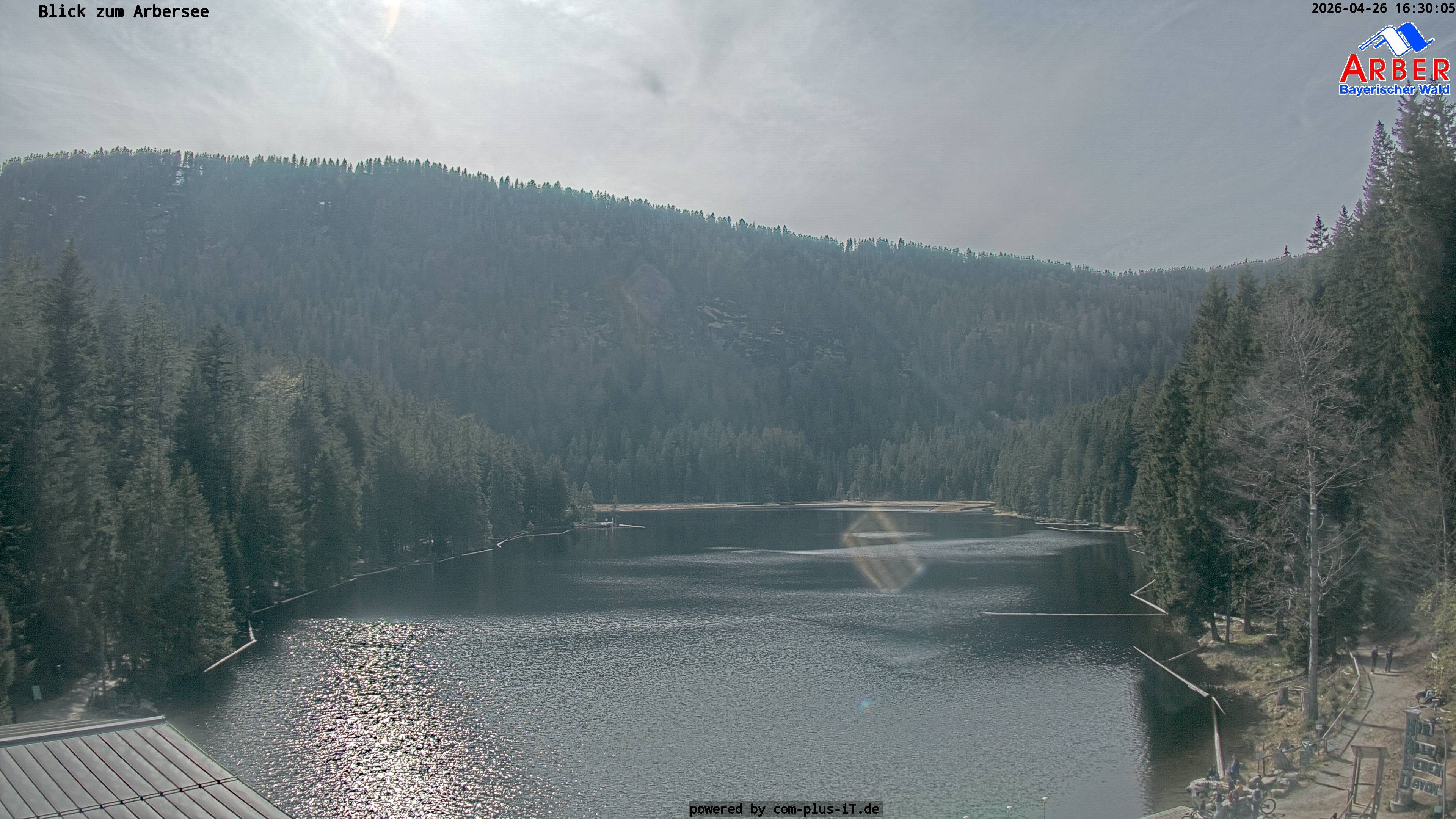 Archiv Foto Webcam Großer Arbersee - Bayerischer Wald