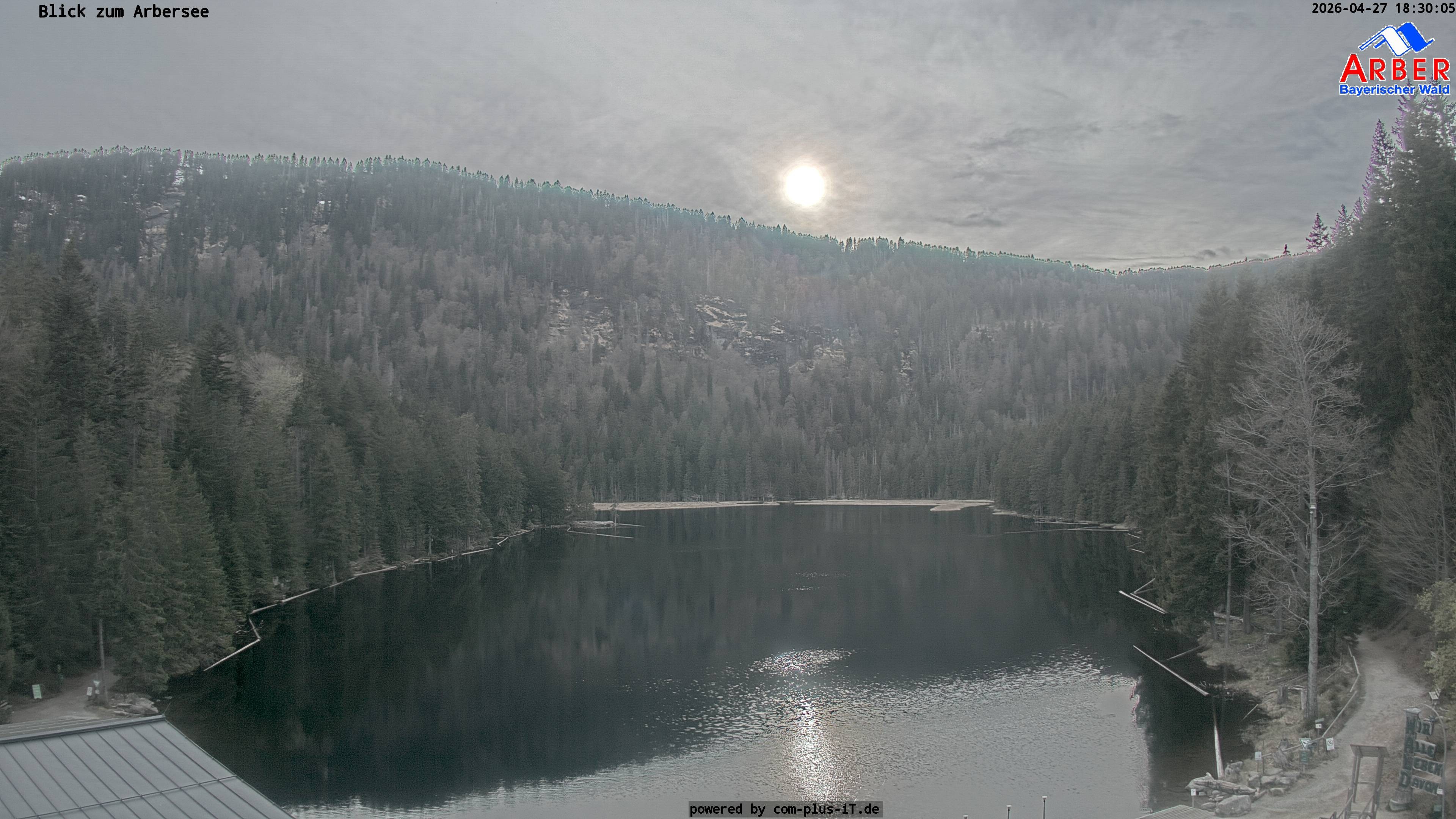 Archiv Foto Webcam Großer Arbersee - Bayerischer Wald