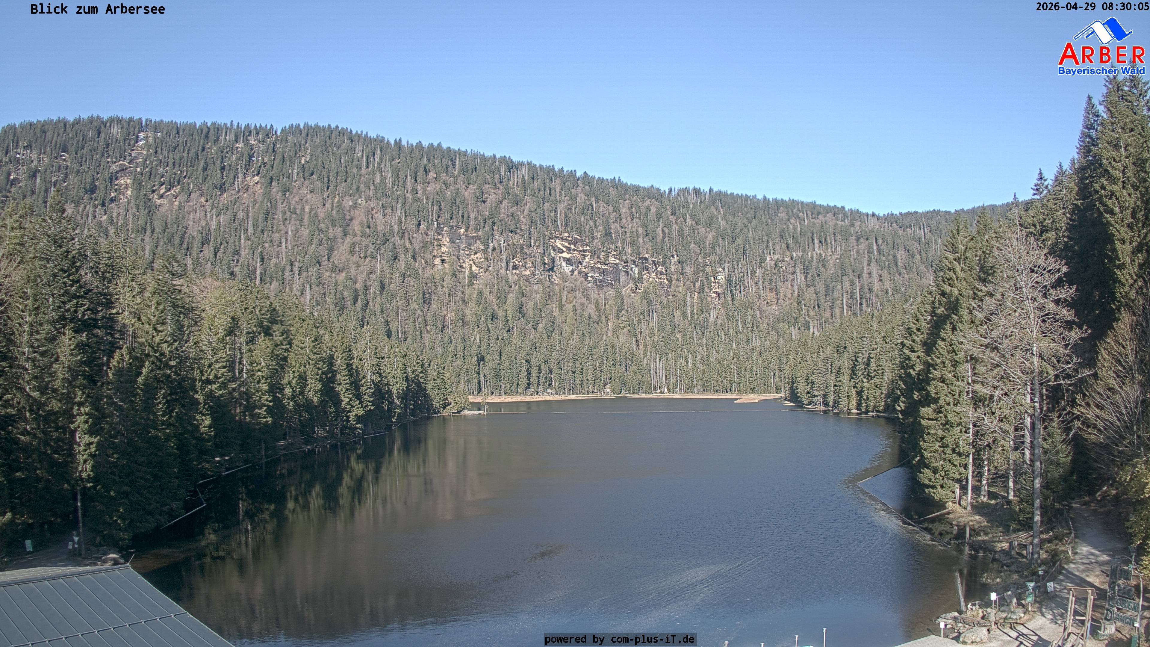 Archiv Foto Webcam Großer Arbersee - Bayerischer Wald