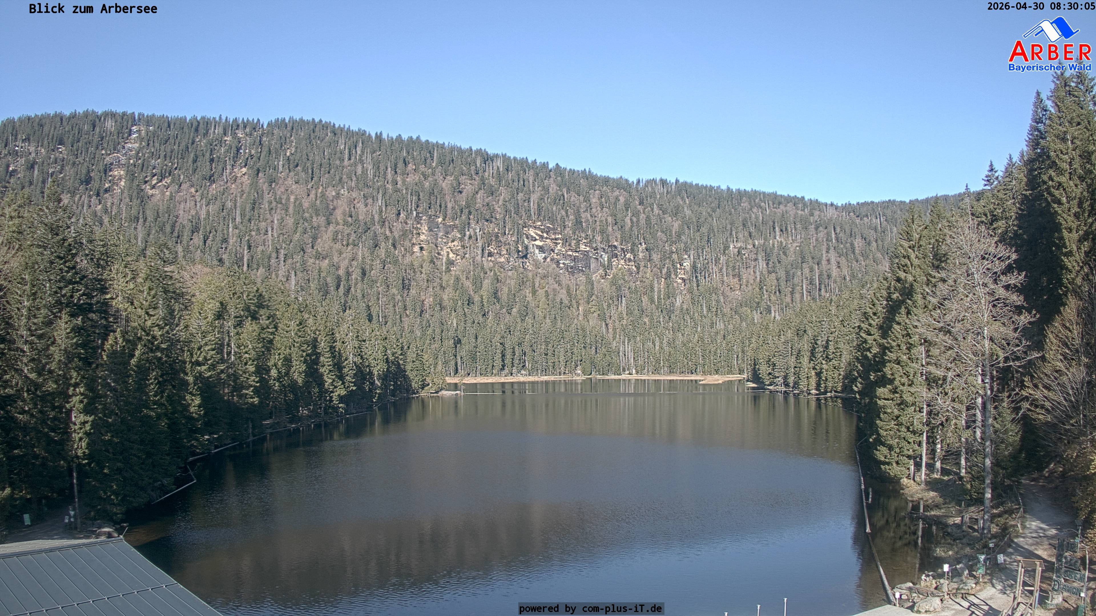 Archiv Foto Webcam Großer Arbersee - Bayerischer Wald