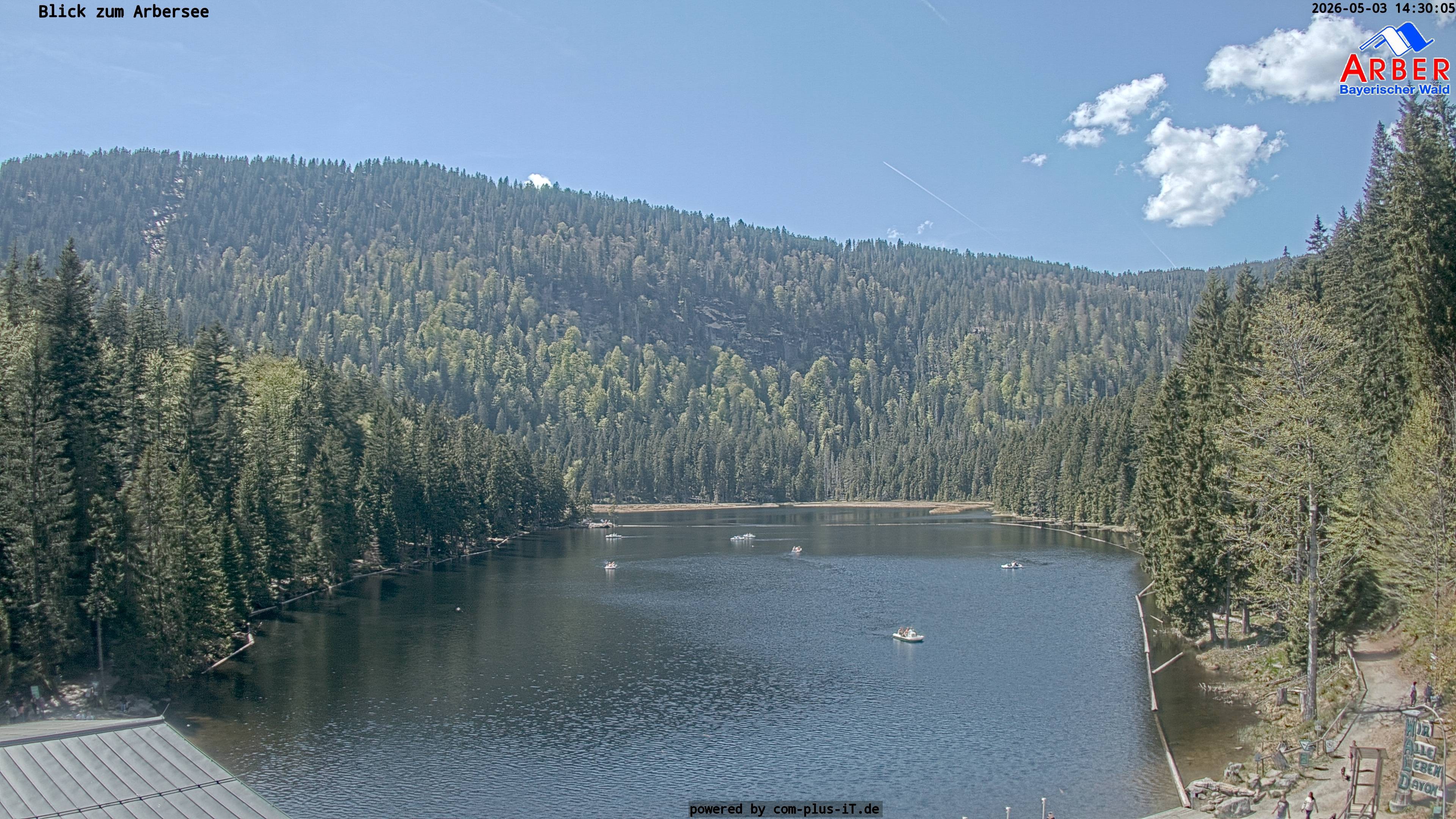 Archiv Foto Webcam Großer Arbersee - Bayerischer Wald