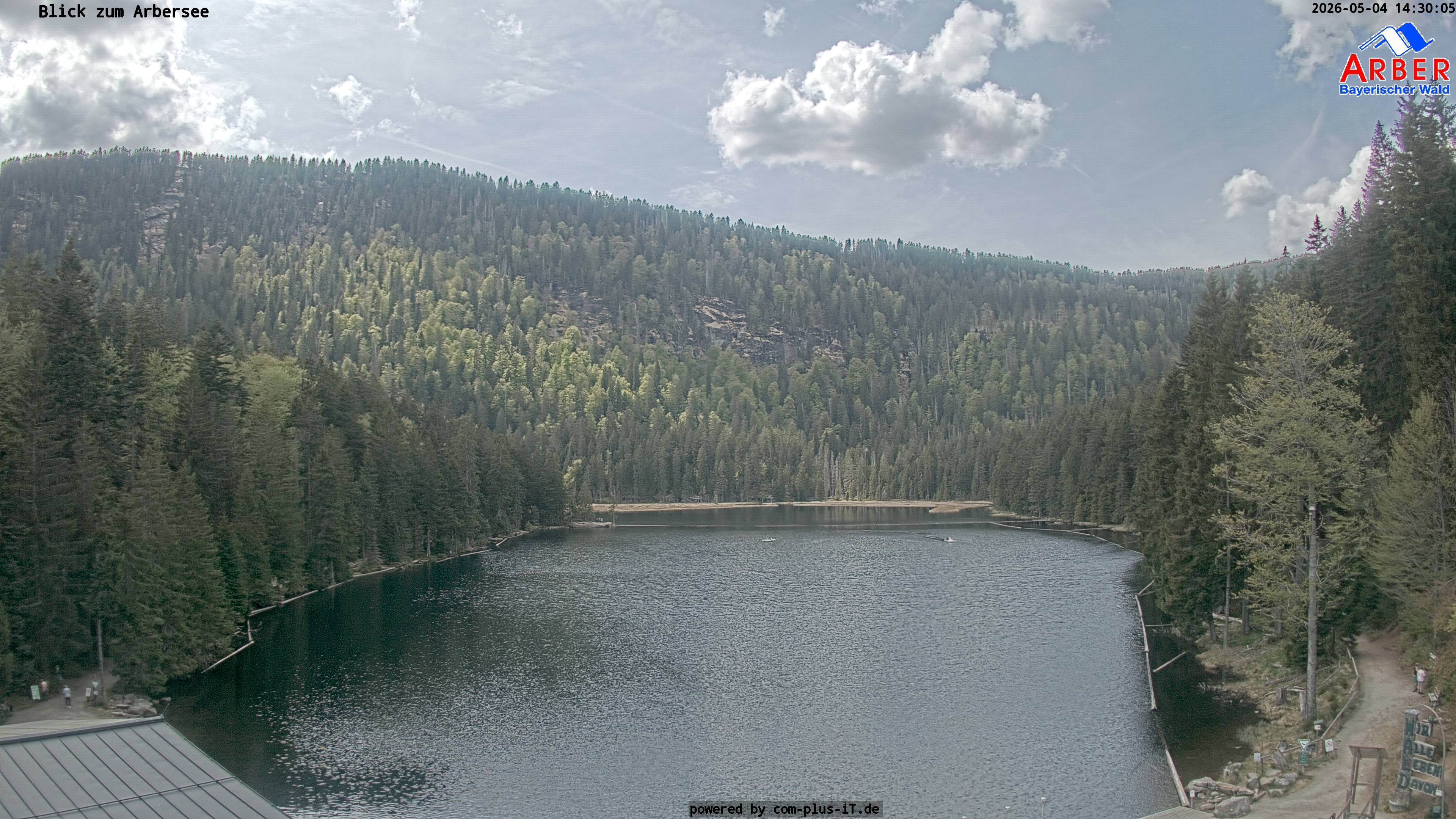 Archiv Foto Webcam Großer Arbersee - Bayerischer Wald