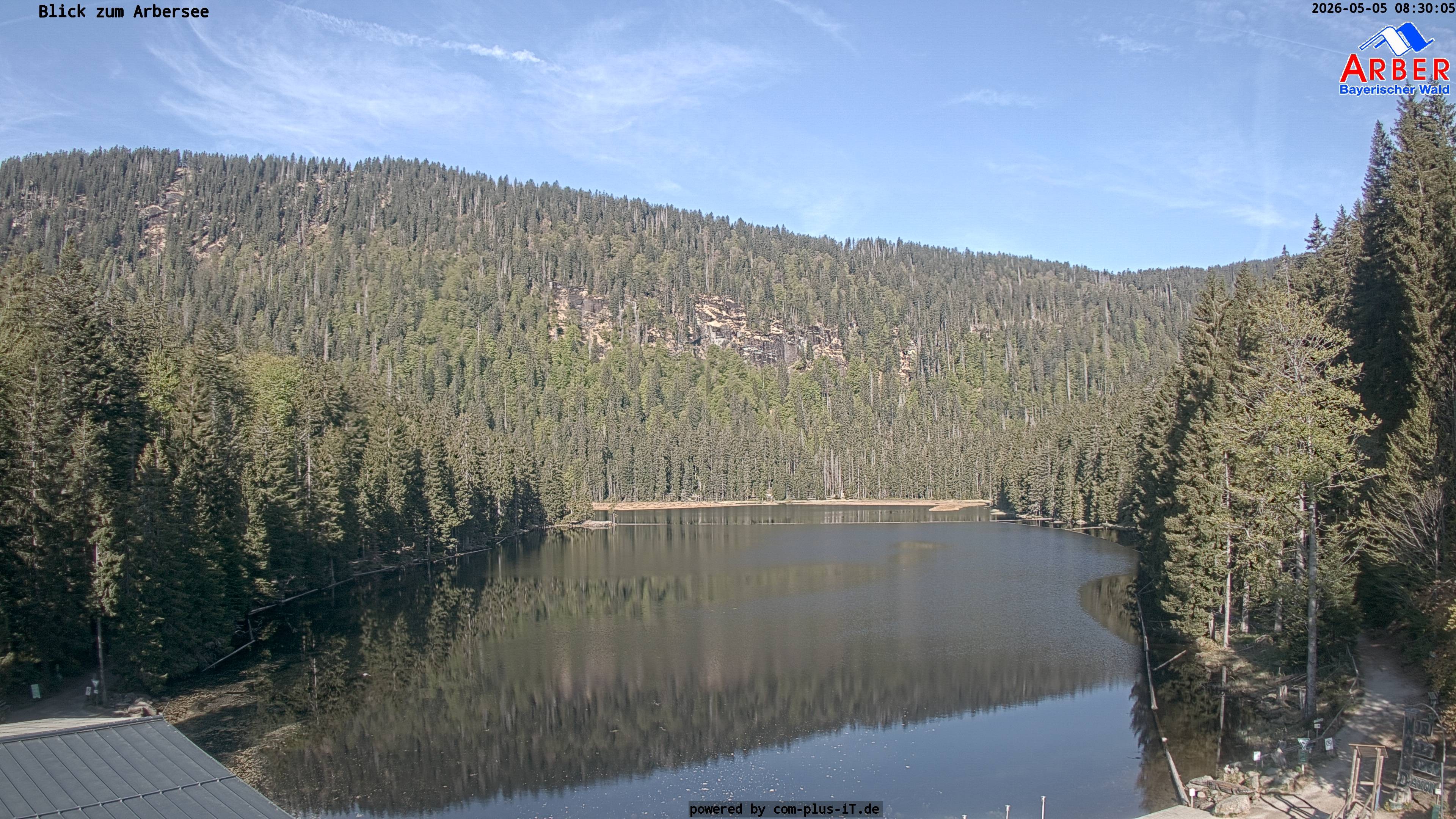 Archiv Foto Webcam Großer Arbersee - Bayerischer Wald