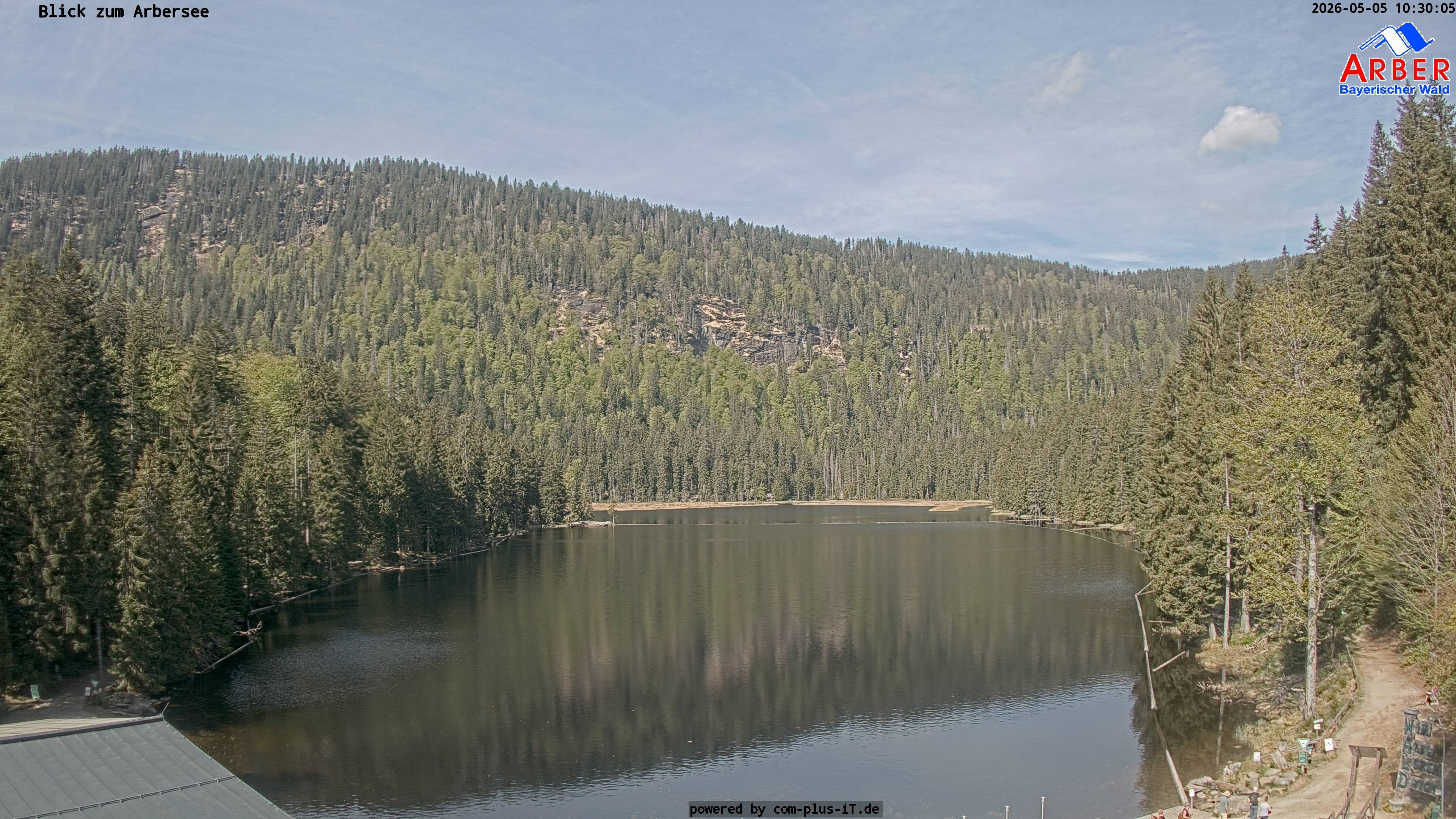 Archiv Foto Webcam Großer Arbersee - Bayerischer Wald