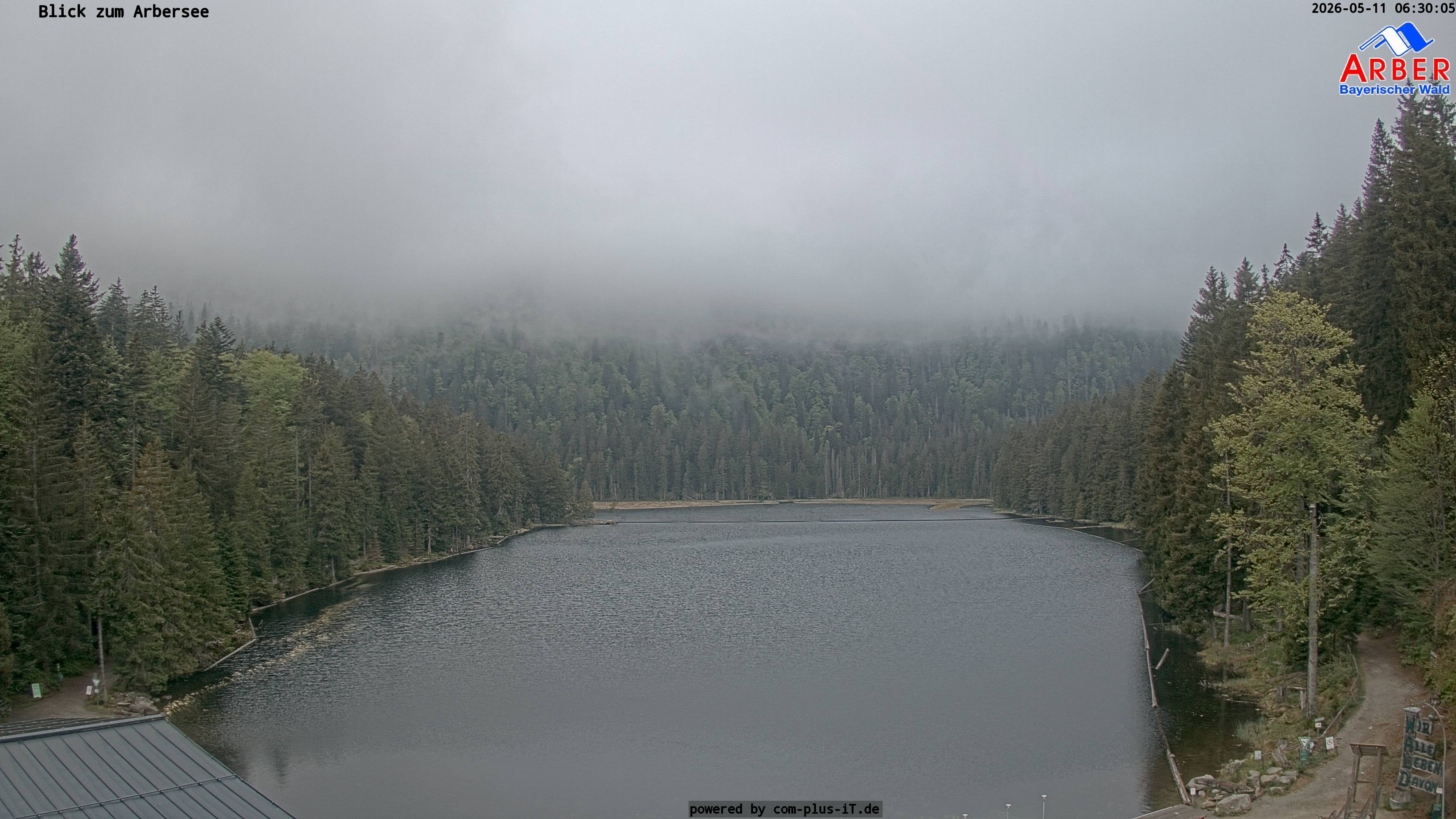 Archiv Foto Webcam Großer Arbersee - Bayerischer Wald