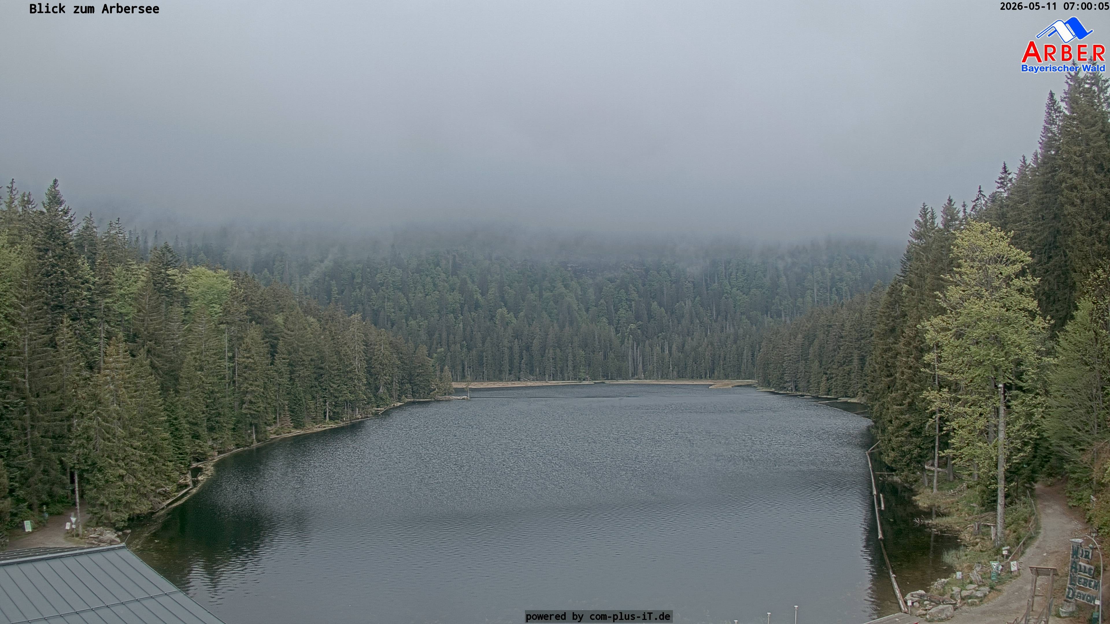 Archiv Foto Webcam Großer Arbersee - Bayerischer Wald