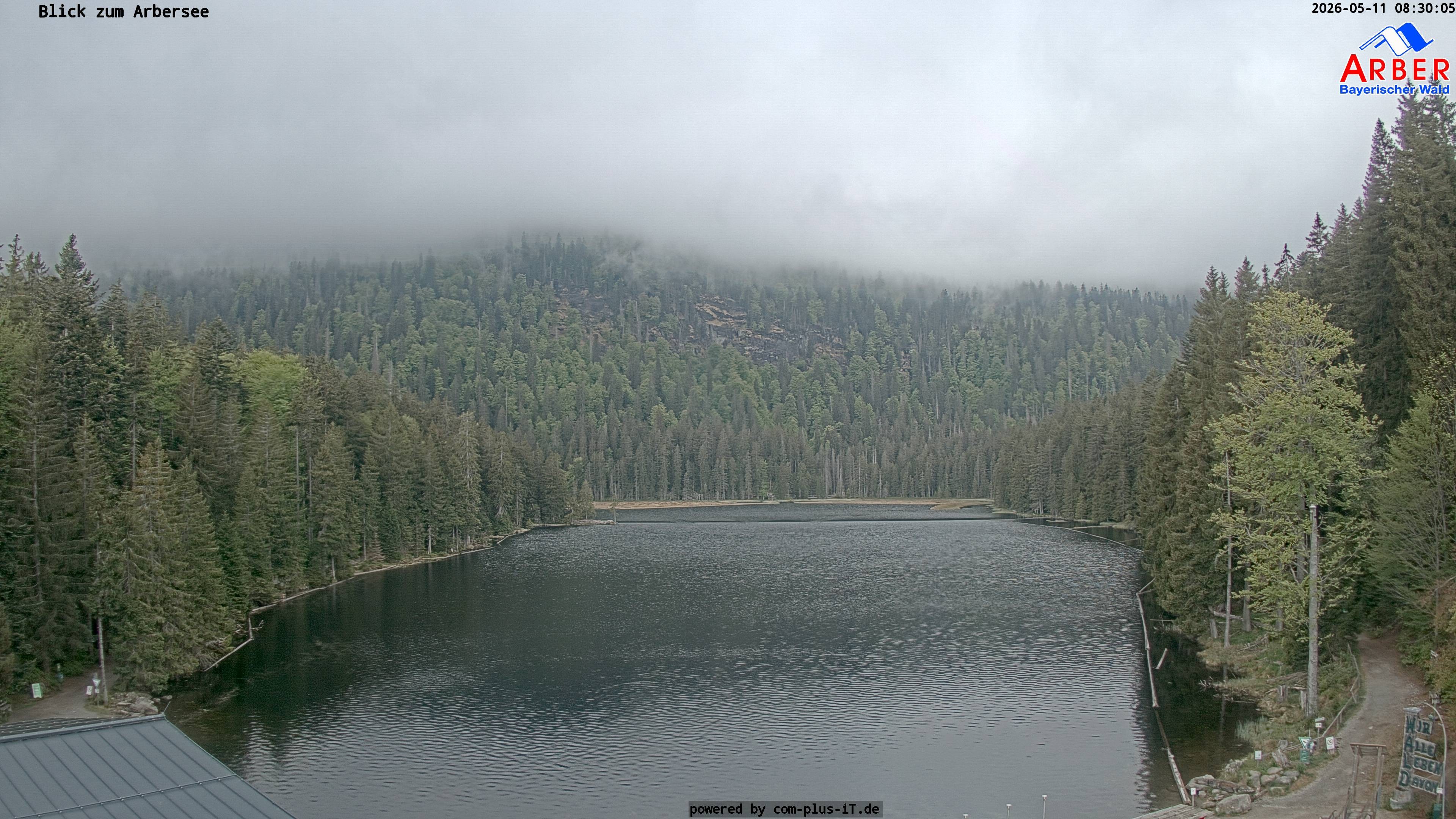 Archiv Foto Webcam Großer Arbersee - Bayerischer Wald