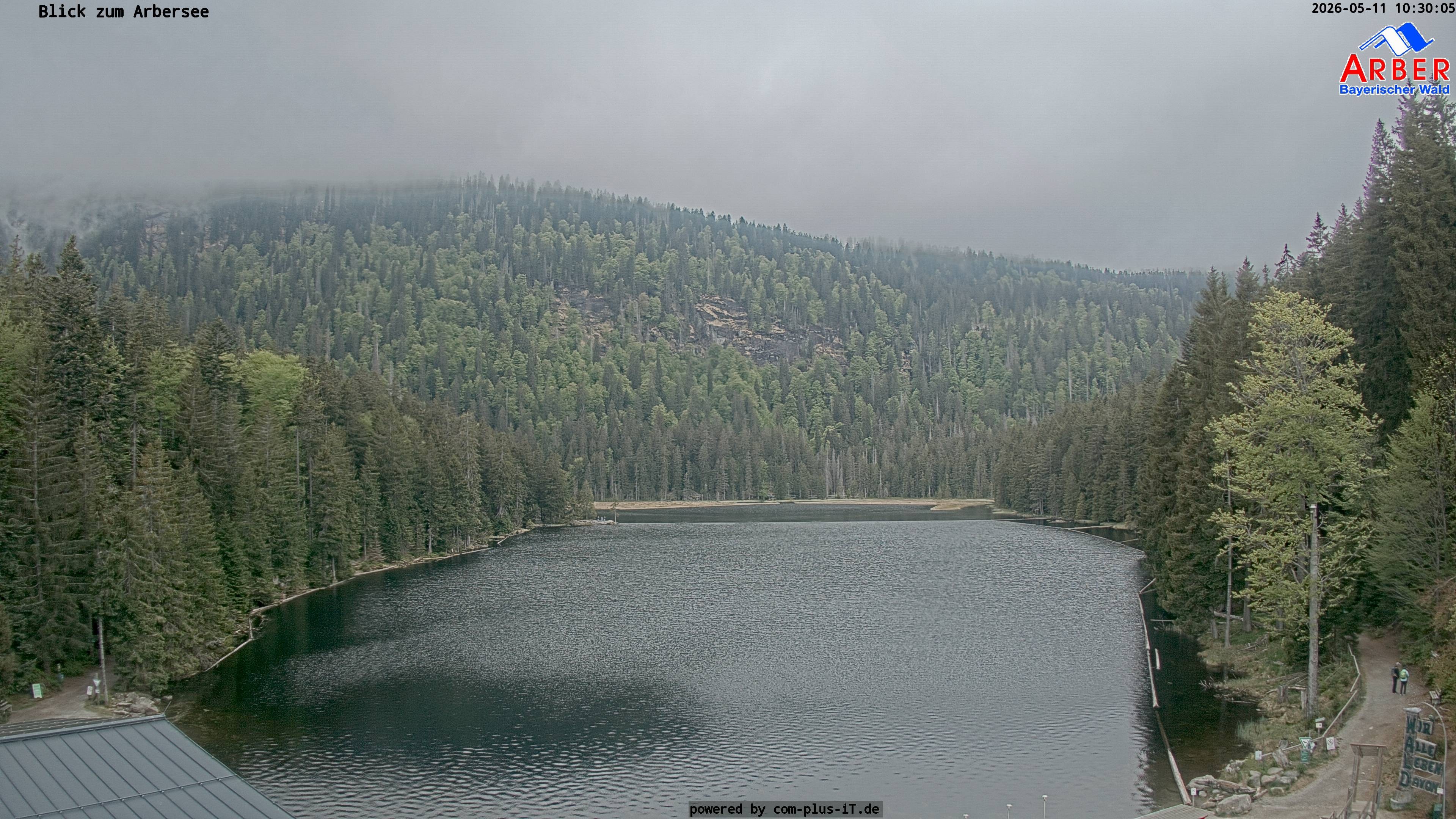 Archiv Foto Webcam Großer Arbersee - Bayerischer Wald