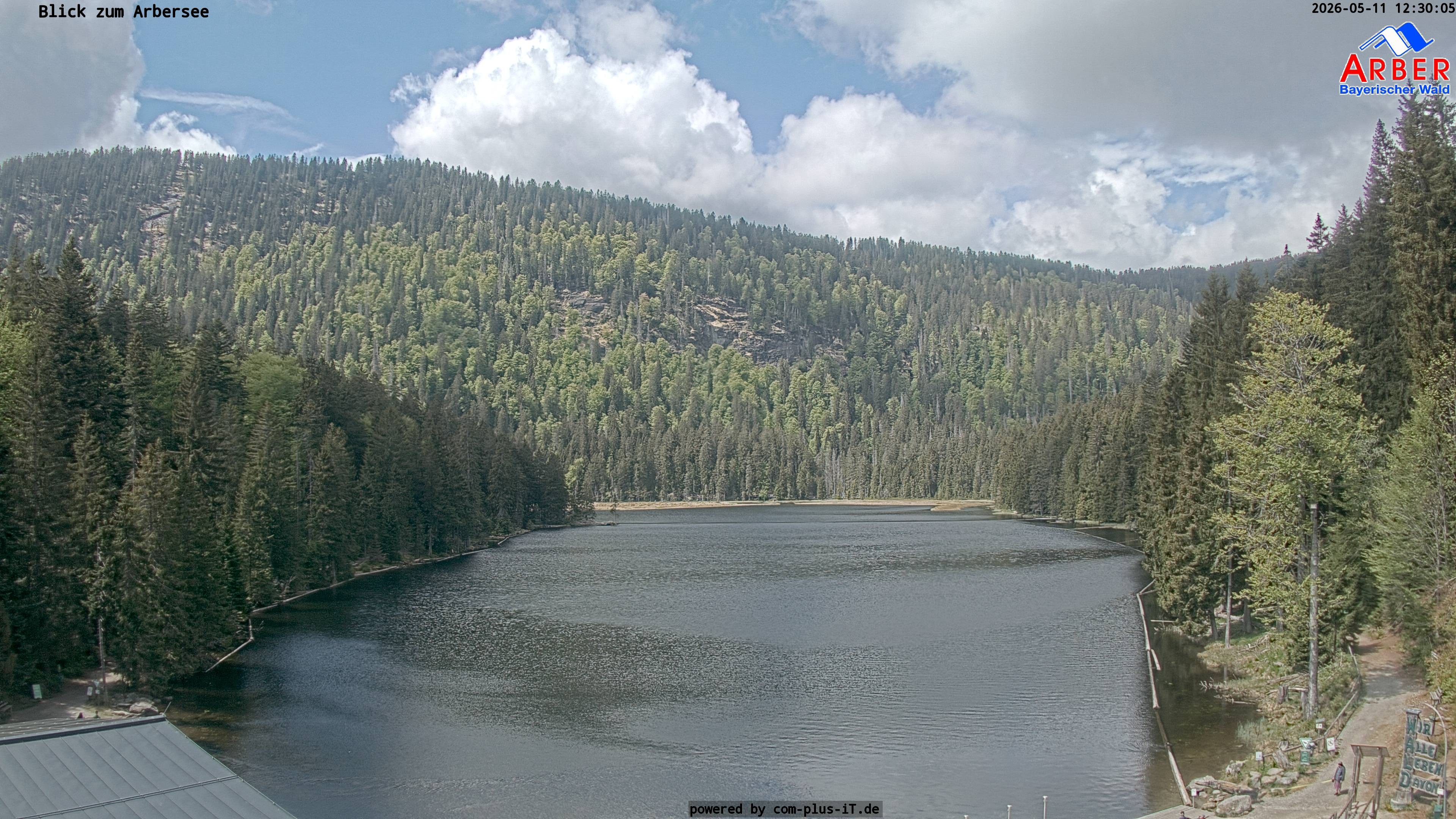 Archiv Foto Webcam Großer Arbersee - Bayerischer Wald